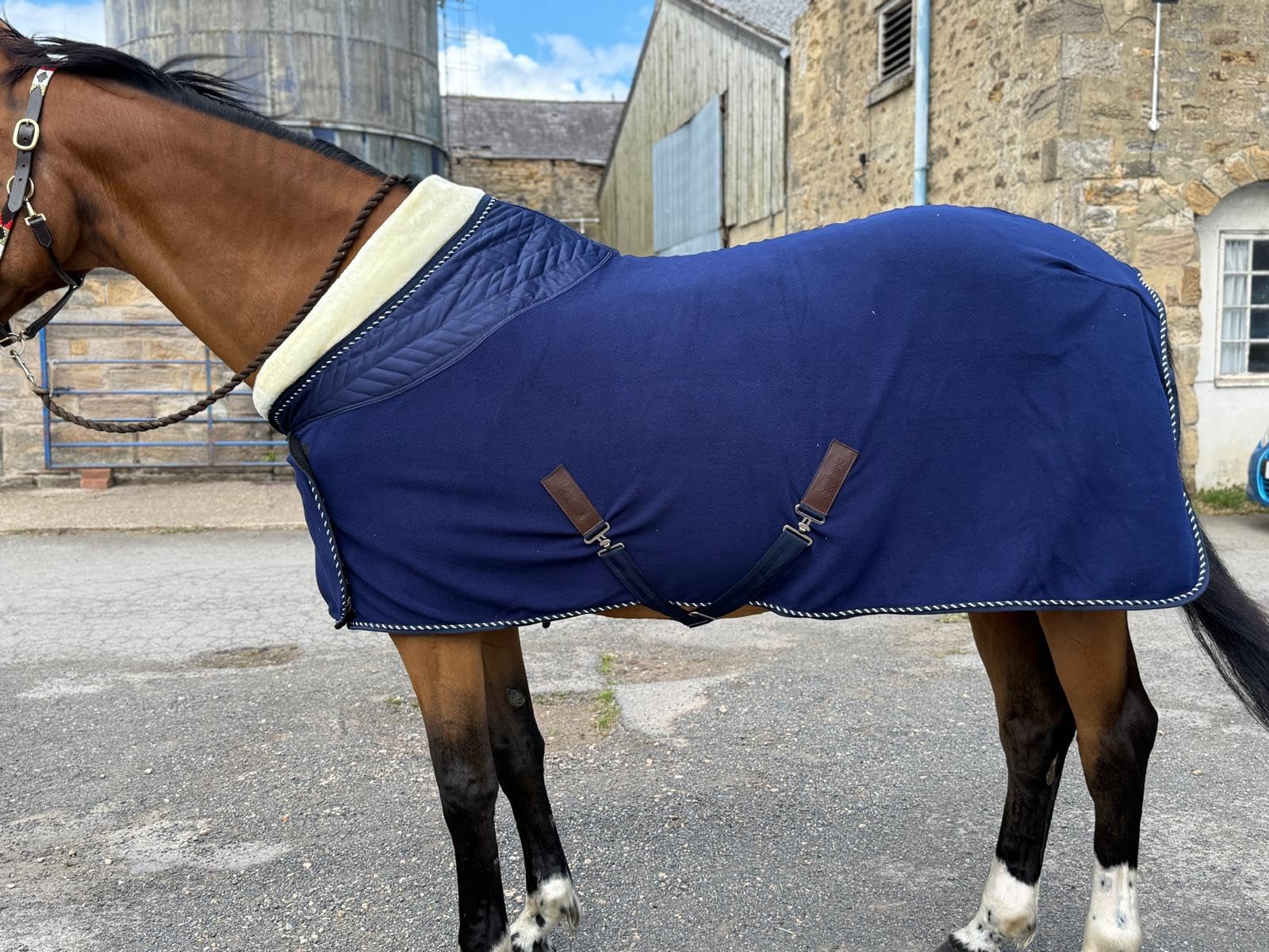 Premium Horse Fleece Show Rug, Burgundy with White Collar, Quilted Pattern, Luxury Cord Trim, Removable Chest Closure Size 4'9" to 7'0" Navy (6'9")