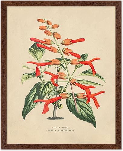Miniatura 9 de Poster Master Póster de flores vintage, estampado botánico retro, arte floral antiguo, arte de plantas, regalo para hombres y mujeres, gran