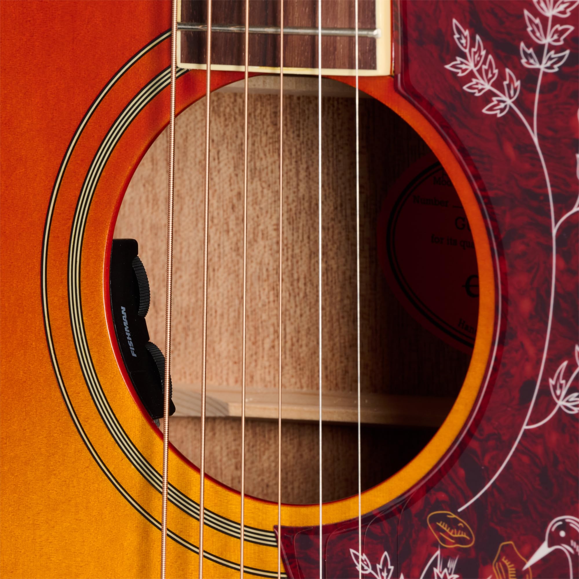 Amazon.co.jp: Epiphone Gibson Hummingbird Standardにインスパイア