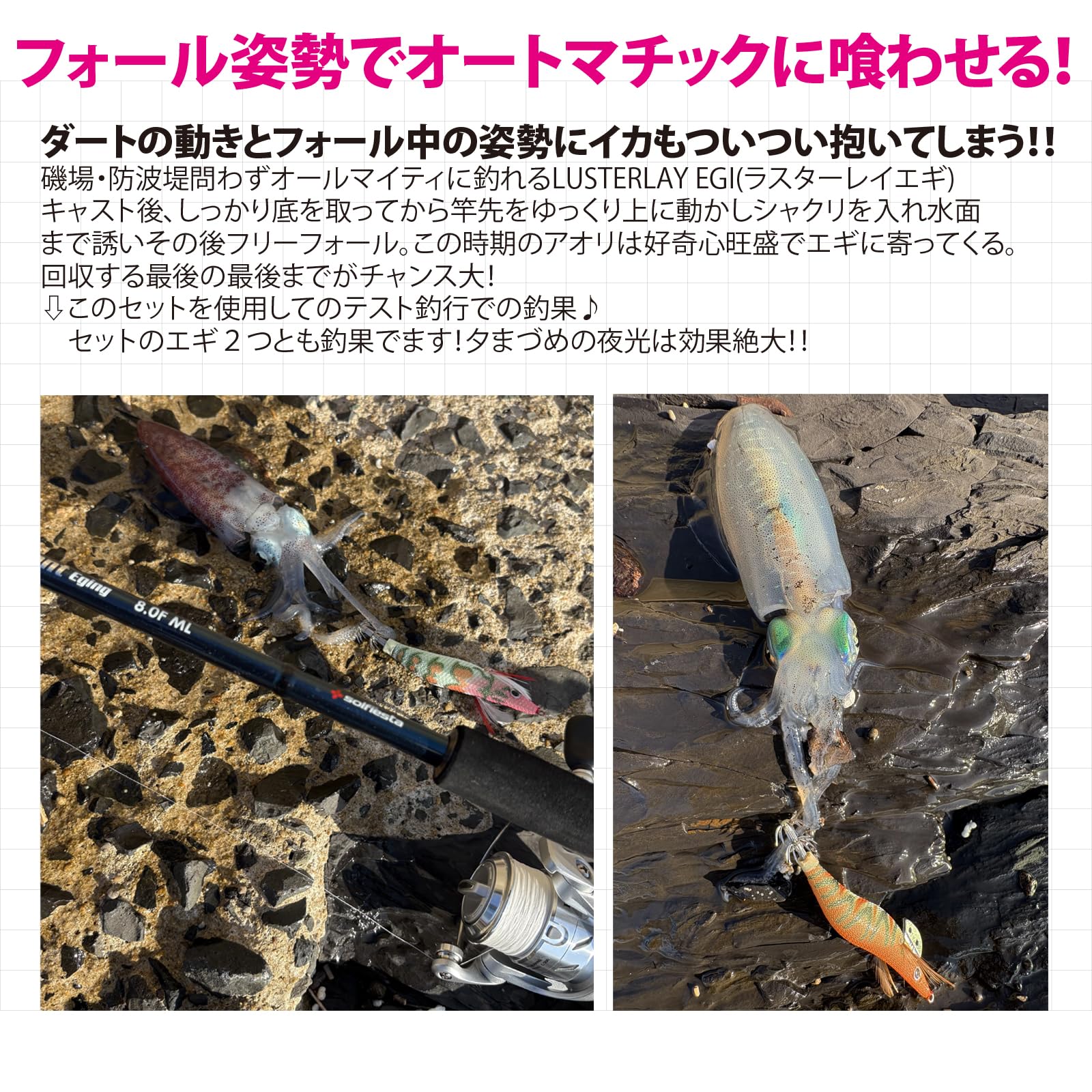エギング引退フルセット　エギングセット Amazon.co.jp: エギングセット8.0F/ML ロッド PE付リール エギ2個
