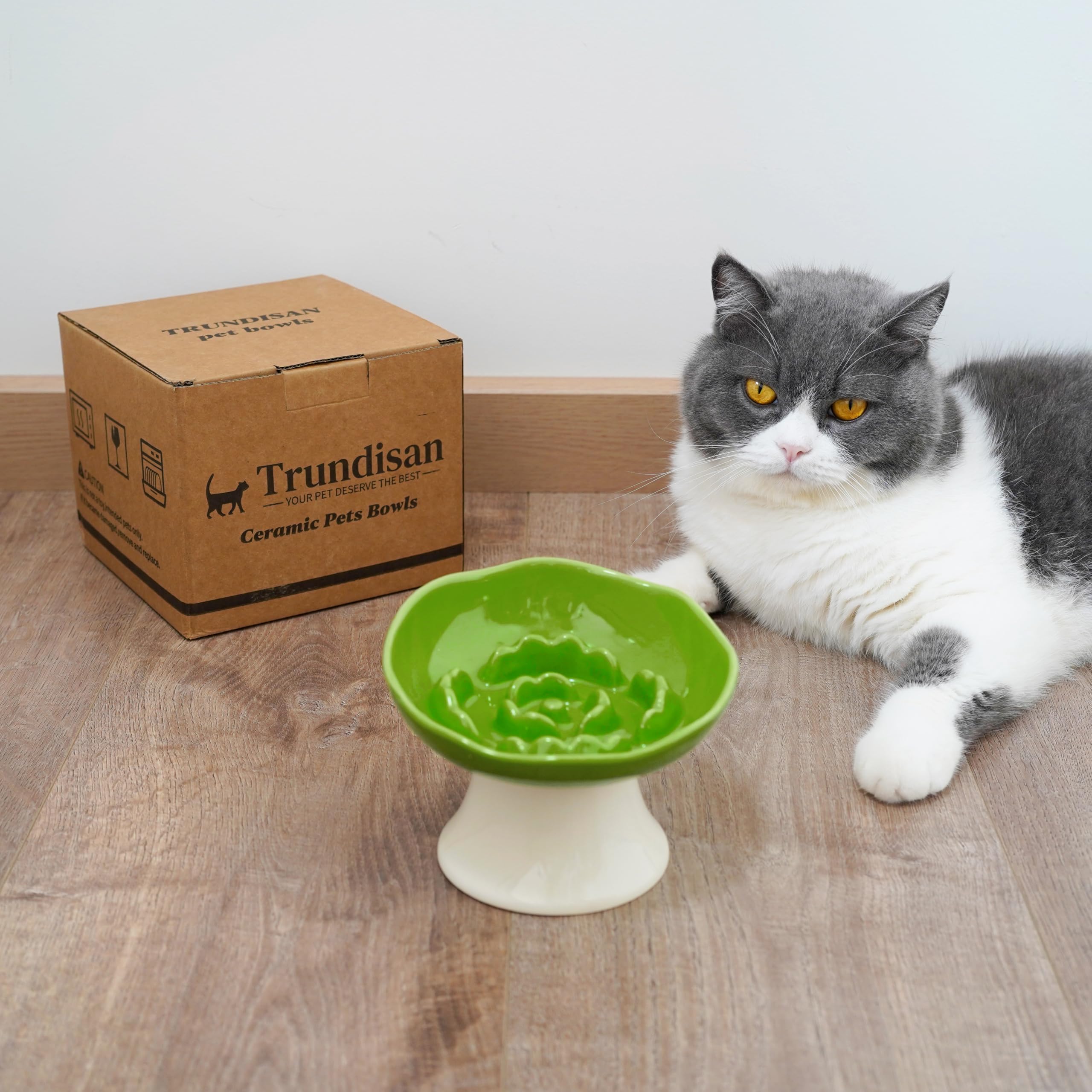 Futternapf aus Keramik für Katzen und kleine Hunde, erhöhter, geneigter Futternapf, Schnurrhaarfreundlich, Anti-Erbrochenes, schwerer, stabiler Boden, spülmaschinenfest, 5 Farboptionen (Blattgrün)