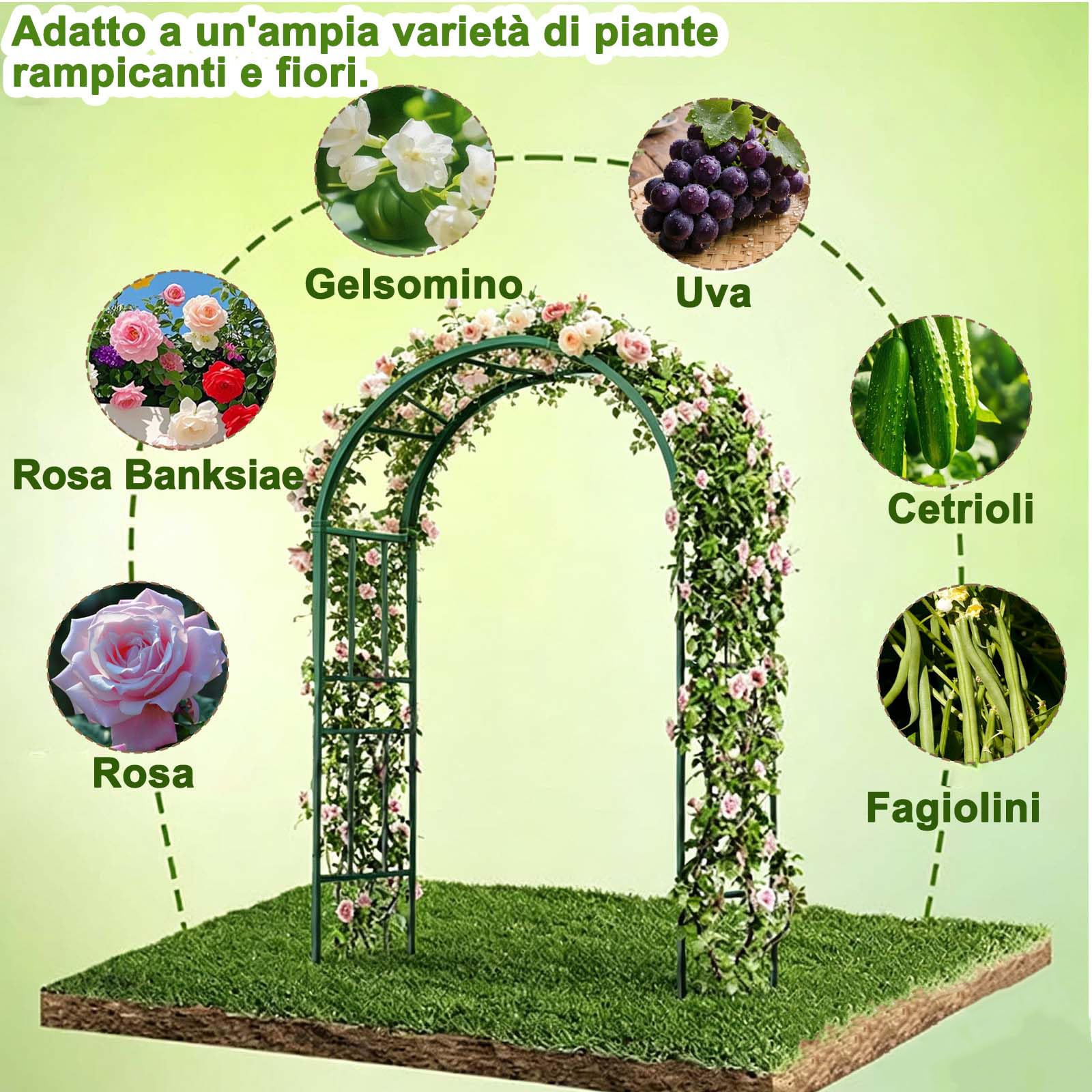 Arco Da Giardino In Metallo, Arco Per Rose, Rampicanti,Sostegno Per Piante Rampicanti,Archetto Per Matrimoni E Feste,Resistente Agli Agenti Atmosferici, In Acciaio Verniciato A Polvere