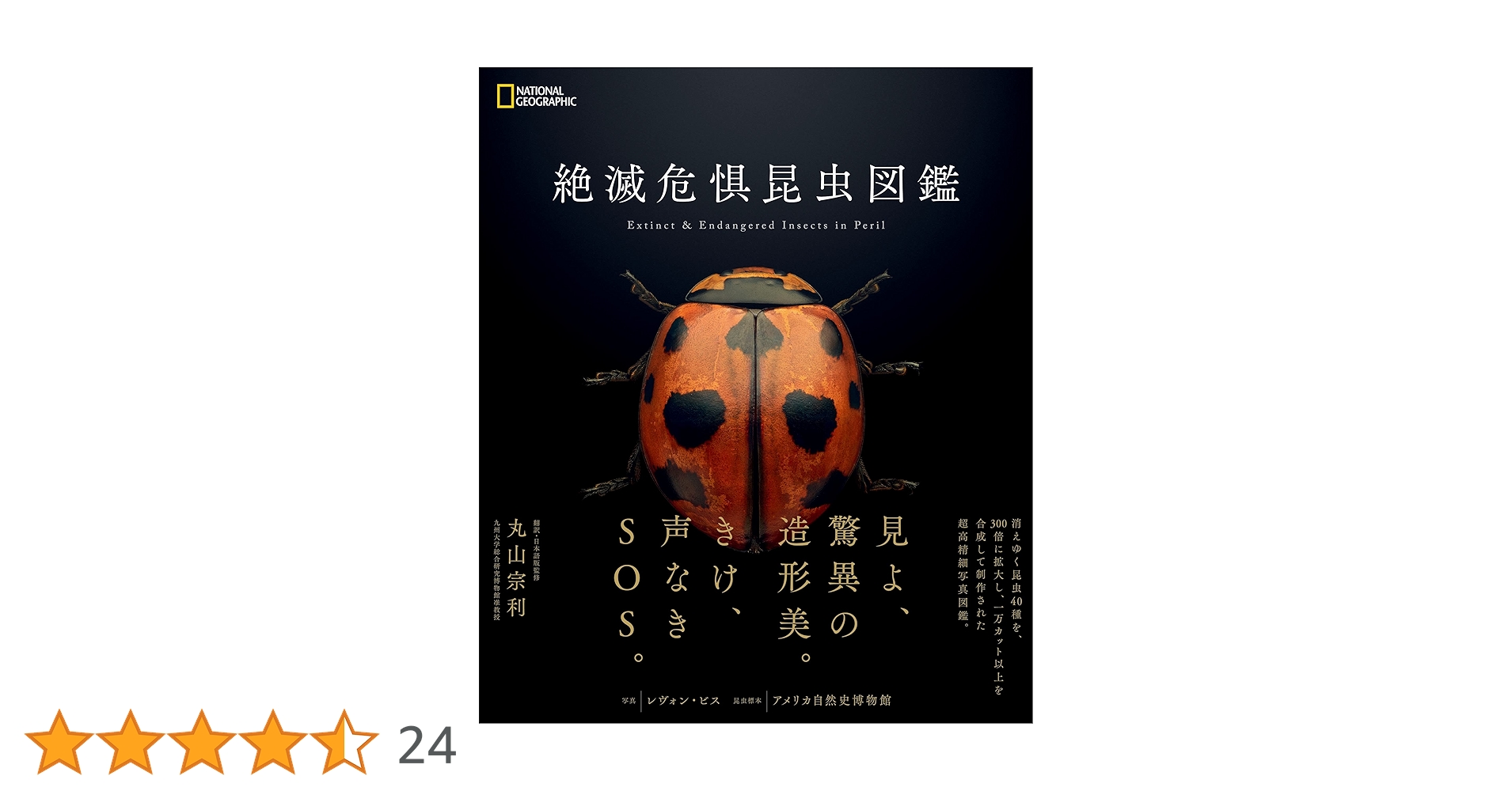 台湾鍬形虫自然観察図鑑4 台湾鍬形虫自然観察図鑑4 台湾の書籍