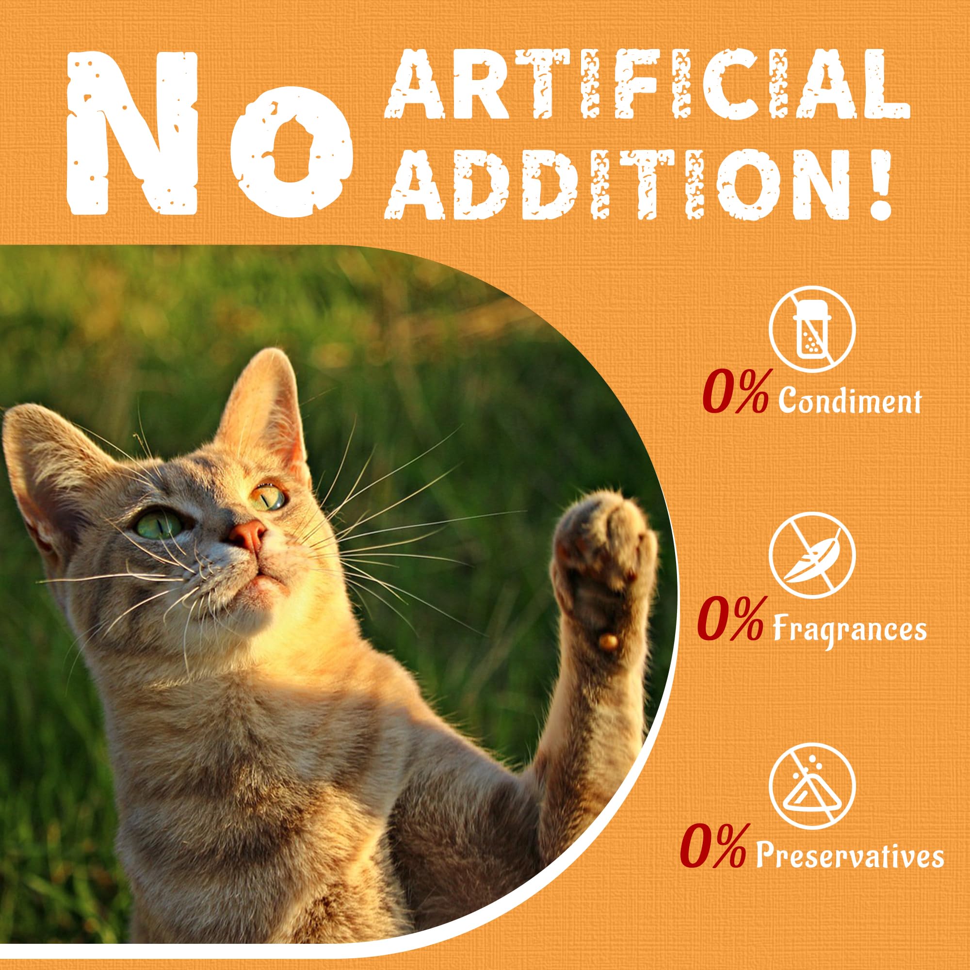 Just Try 13.4 OZ Cat Treats for Indoor Cats Hairball Control Natural Salmon Healthy Cat Grass Treats Kitten Snacks Training Biscuits Catnip for Cats Dental Care: Krill Mixer 1 Pound (Pack of 1)