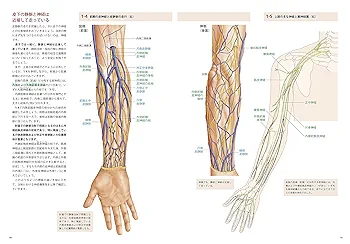 根拠がわかる注射のための解剖学 | 佐藤 達夫 |本 | 通販 | Amazon