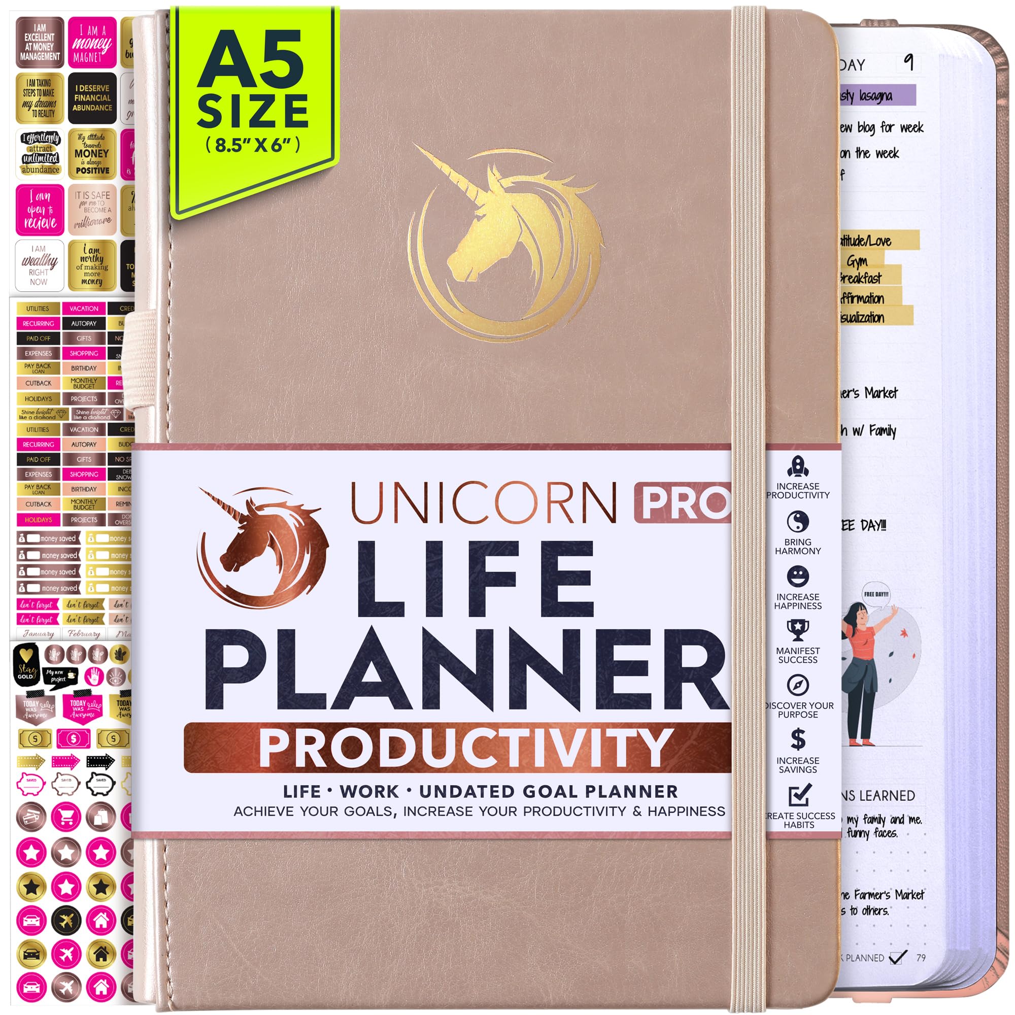 Undated Daily Weekly &amp; Monthly Planner with Budget Section