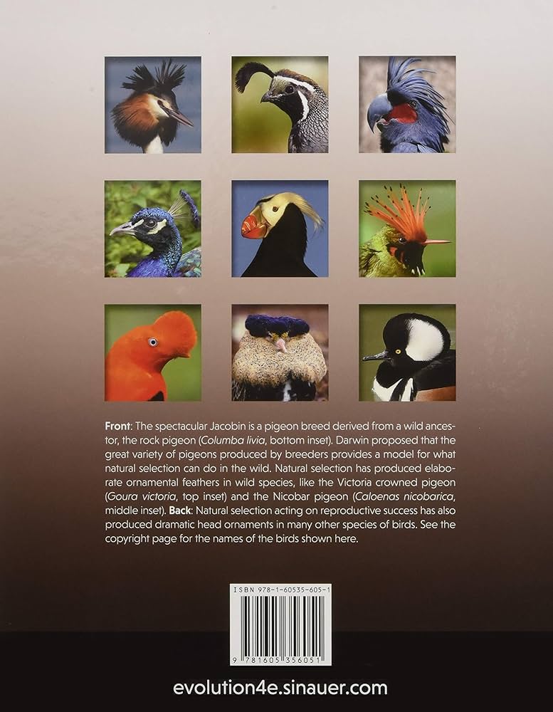 Evolution: Futuyma, Douglas J., Kirkpatrick, Mark