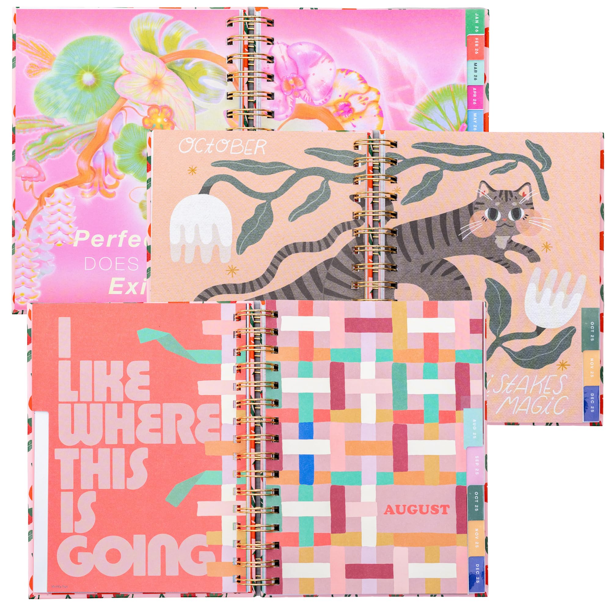 ban.do | 17-Month Planner [2025/2026] Medium - Connect The Dots - A Little Bird Told Me