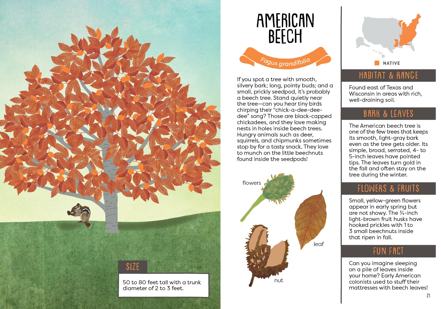 A Kid's Guide to Backyard Trees (Kid's Backyard Guide)