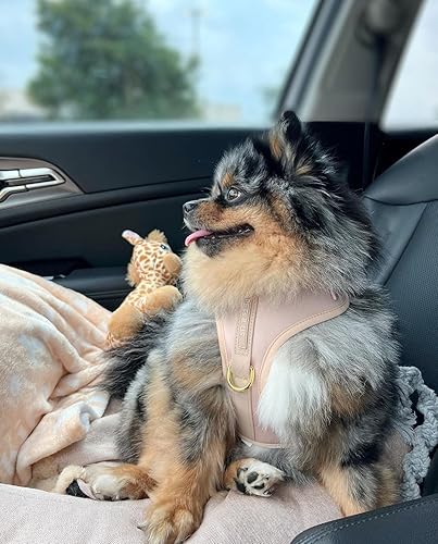 Miniatura 9 de Arnés ajustable para perro sin tirones de neopreno, marrón marfil, gris topo, diseño de piel de serpiente, deportivo, pequeño, mediano y grande,