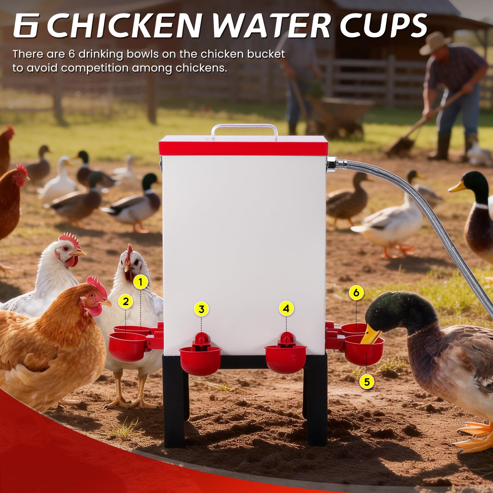 Bebedero automático para pollo de 12 litros con 6 vasos para bebedero automático para pollos, bebedero automático para pollos de acero inoxidable y pollitos para pollo, pato, ganso, pavo