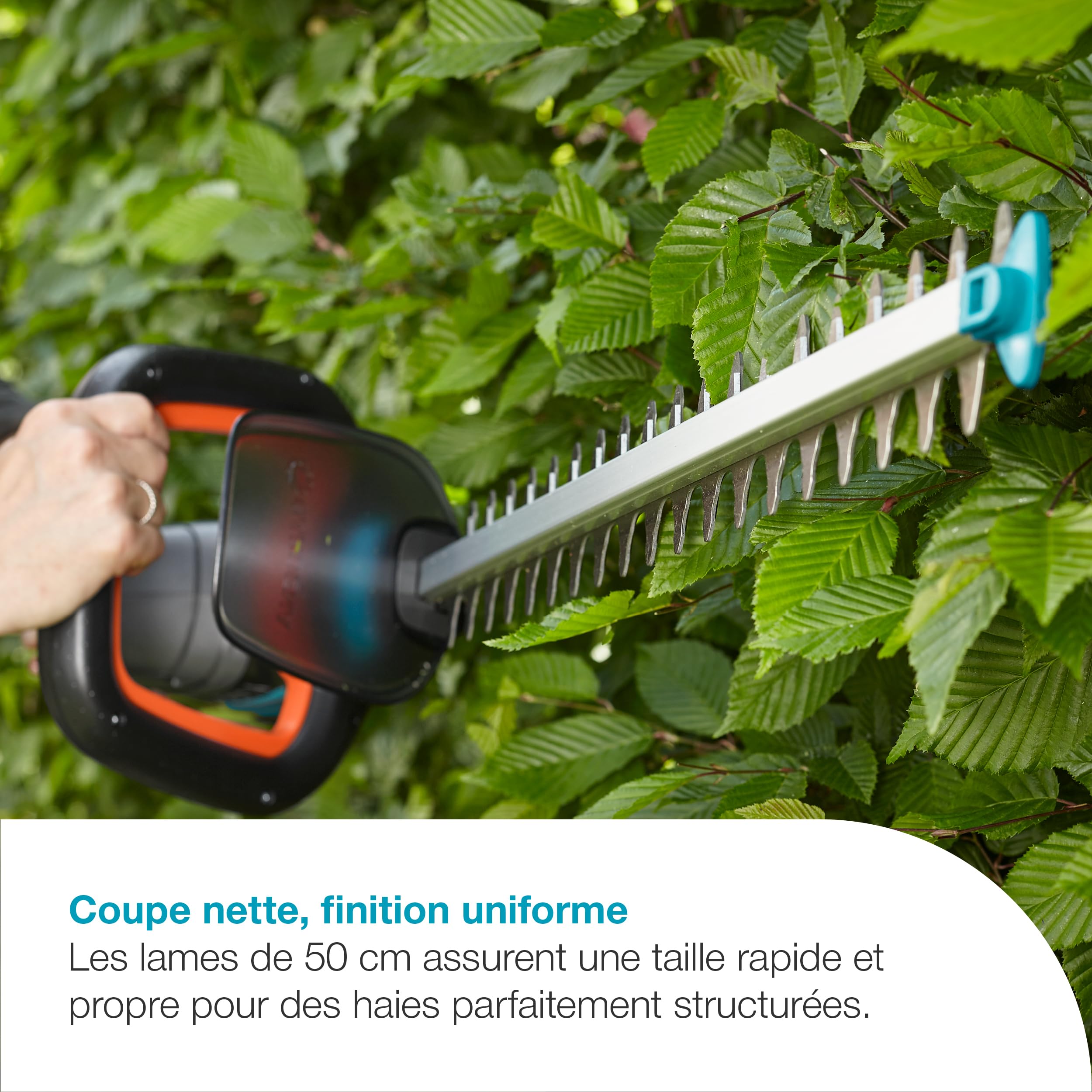 Gardena Taille-Haies sur Batterie ComfortCut 50/18V P4A - Kit prêt à l'emploi: Ergonomique, Géométrie de Lame optimisée, Léger, Affichage du Niveau de Charge, sans Fil (14730-20)