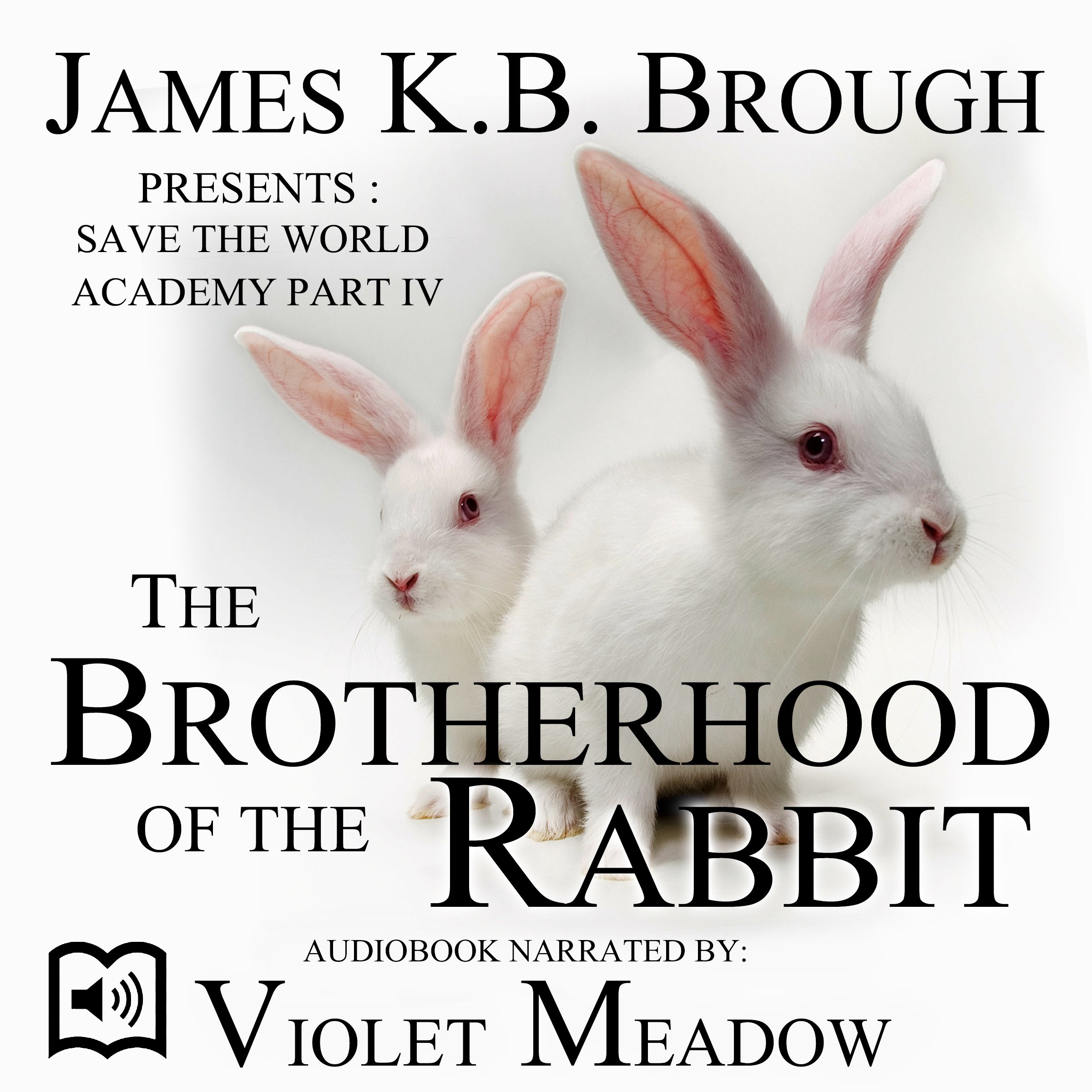 Cover art for The Brotherhood of the Rabbit
