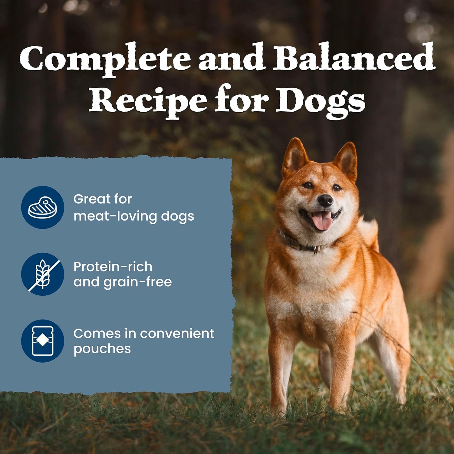 Blue Buffalo Wilderness Protein Powered Meals, Chicken and Beef, High-Protein Grain Free Adult Wet Dog Food, 9 oz. Pouches, 6 Count Variety Pack