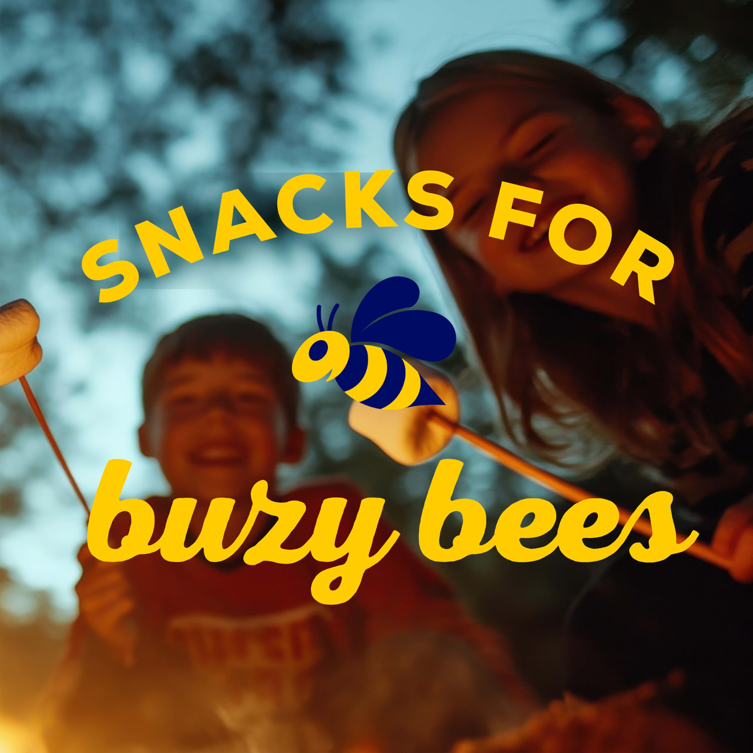 Honey Maid Chocolate Fresh Stacks Grahams, Chocolate Graham Crackers, 170-345 ml Boxen (insgesamt 36 Stapel) | Großpackung Reisesnacks, 8 g Vollkorn pro 30 g Portion, kein Maissirup mit hohem Fruchtzuckergehalt, einzeln verpackt