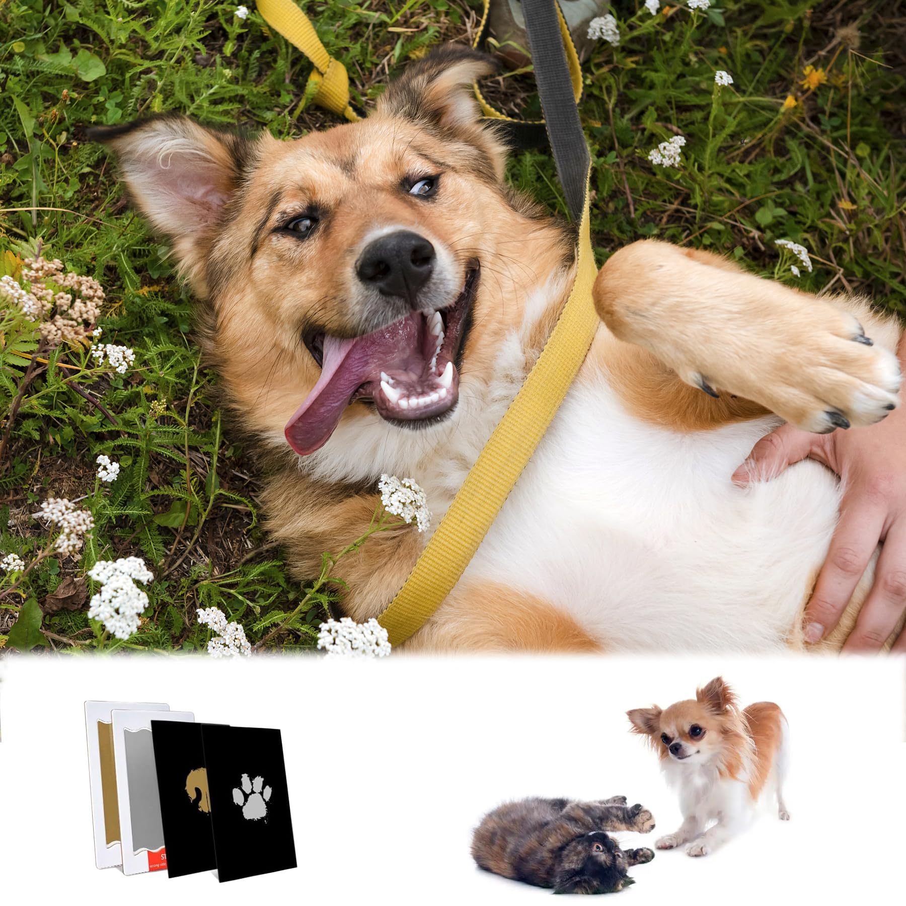 Kit Empreinte Bebe 6 Pièces Or et argent Empreinte Main Pied Bebe avec 12 cartes Kit Empreinte Chien Empreinte Chat Tampons d'Impression Sans Encre Cadeau de Bébé Souvenir