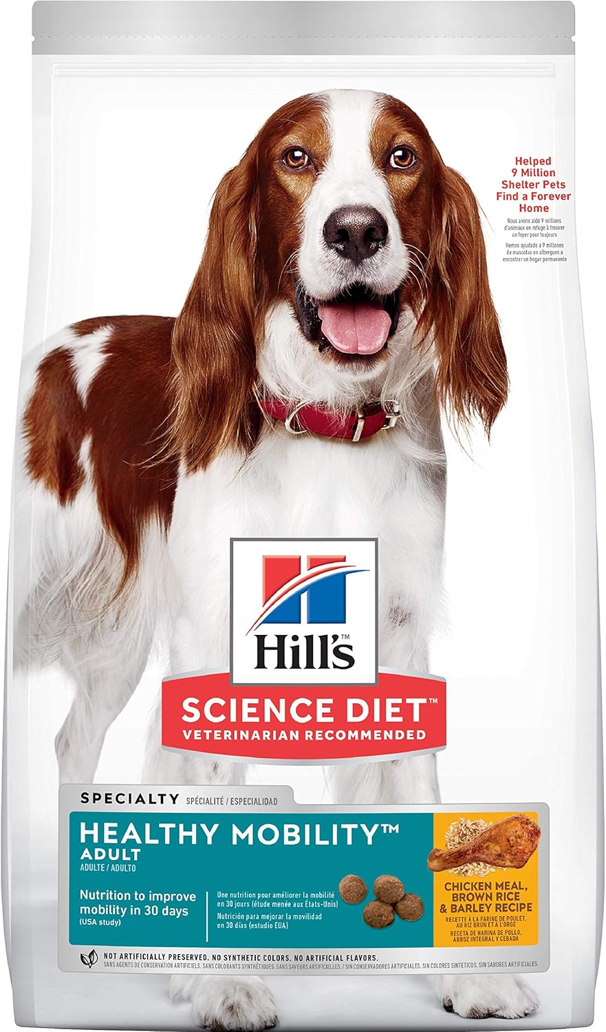 Nourriture sèche pour chien la plus populaire