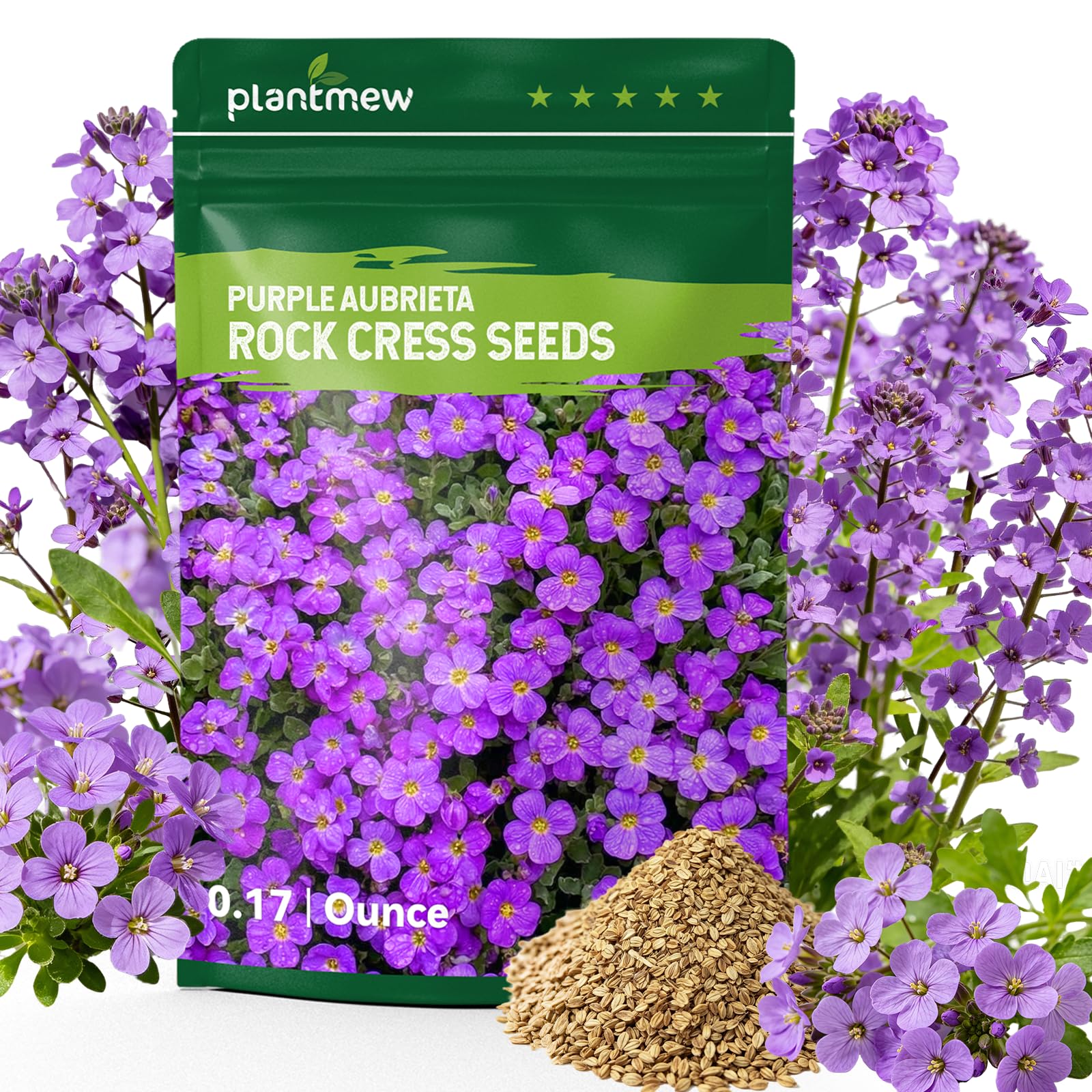 PLANTMEW Aubrieta Rock Cress Seeds