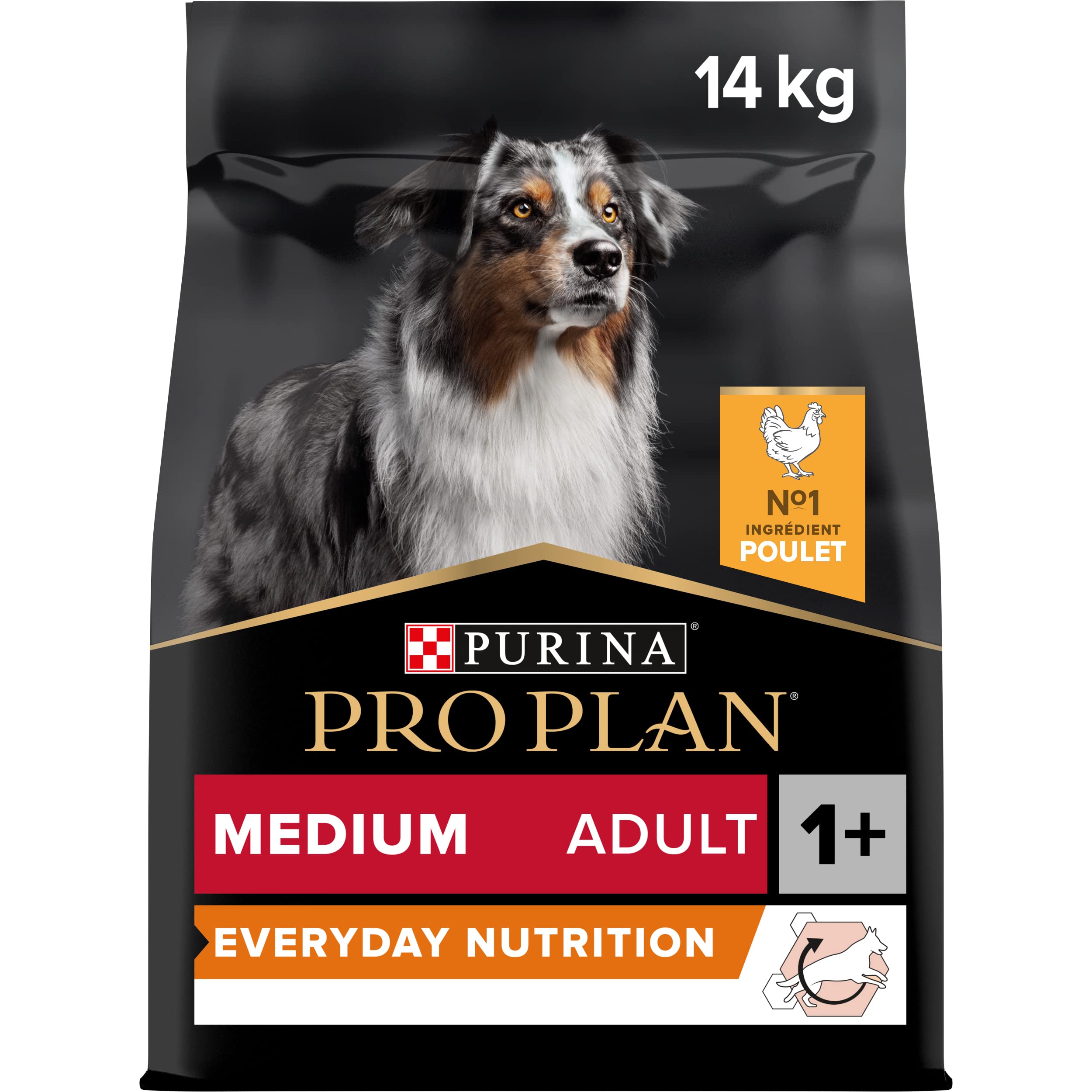 PURINA PRO PLAN | Everyday Nutrition | Croquettes pour Chien Adulte de taille moyenne | Riche en Poulet | Favorise le maintien en bonne santé | Sac | 14kg | Croquettes Chien Taille Moyenne Saveur Poulet - Soutient une digestion saine et condition physique