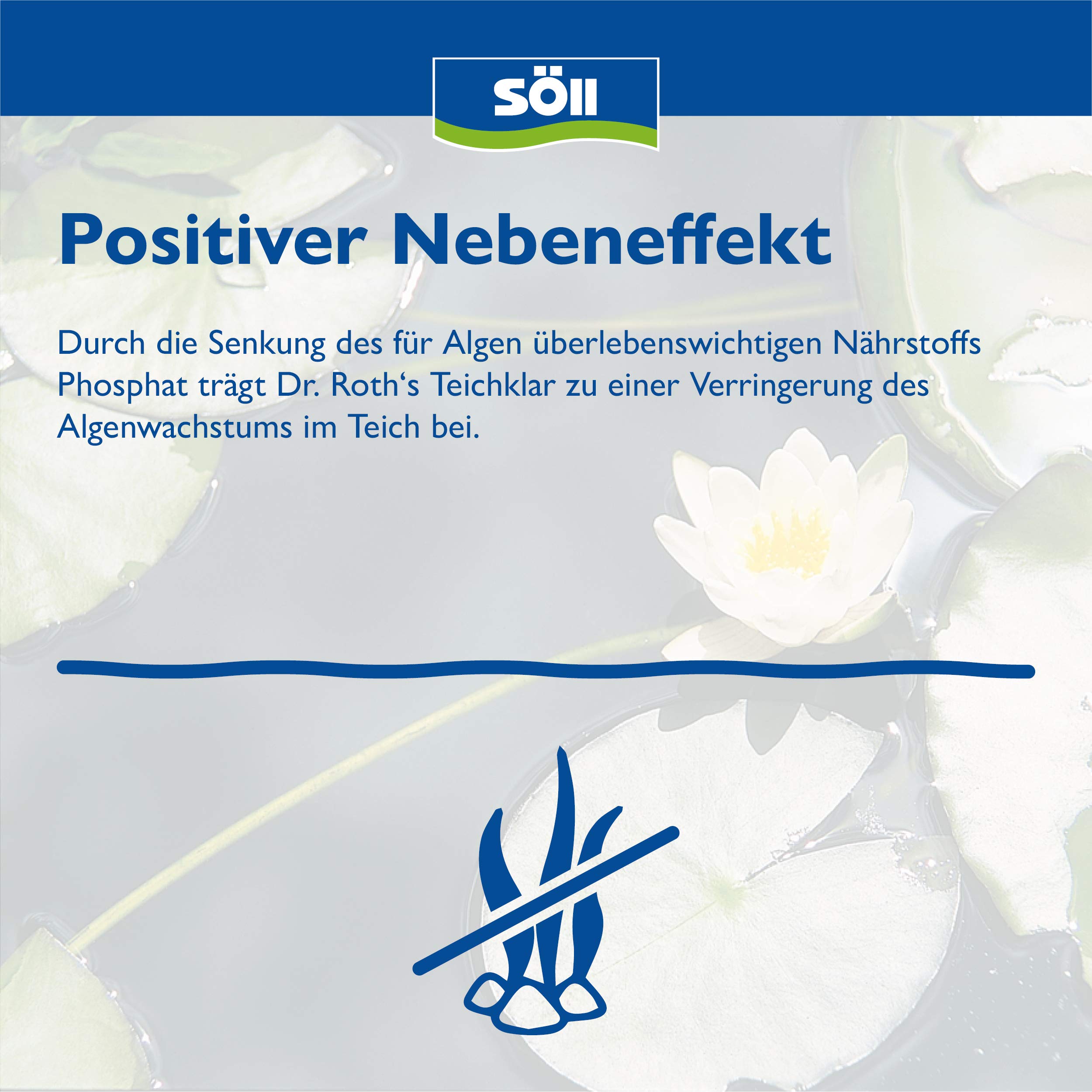 Söll 80380 Dr. Roth's Teichklar, 500 g - mikrobiologische Teichreinigung, Algenprophylaxe, Mikroorganismen für natürliche Wasserklärung im Teich Schwimmteich Fischteich
