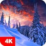 Winter Wallpapers and Backgrounds apps 4K