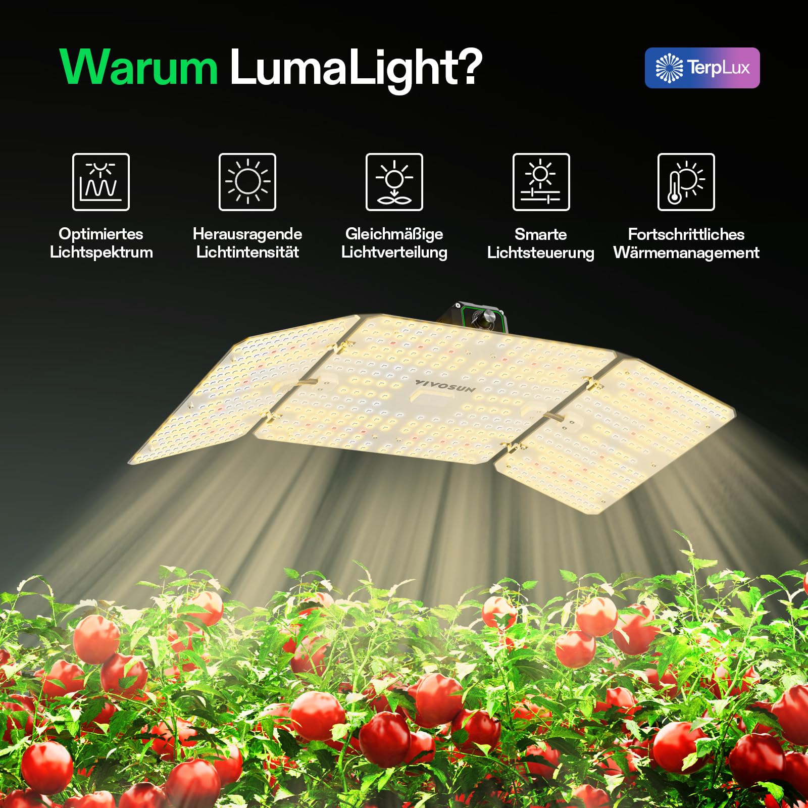VIVOSUN LumaLight 200W LED Pflanzenlampe, Vollspektrum Grow Lampe mit hoher PPFD, dimmbares Grow Light für Zimmerpflanzen, Anzucht, Gemüse & Blüte, ideal für Growzelte 120x60 cm