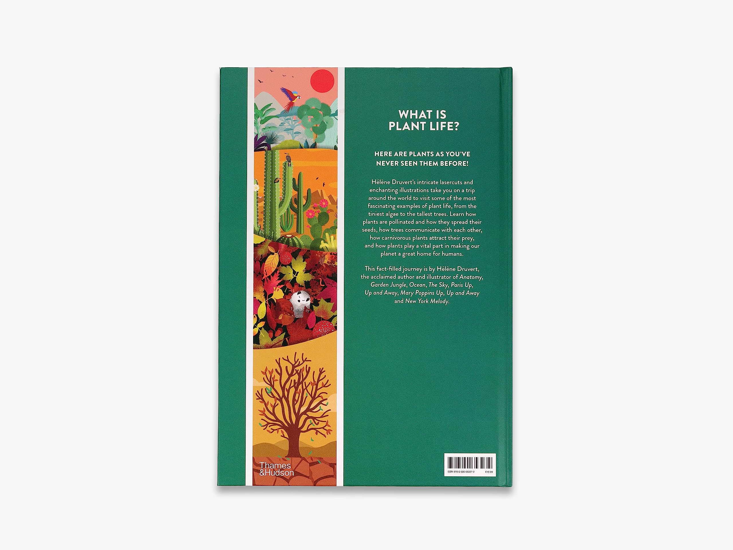Plant Life /anglais