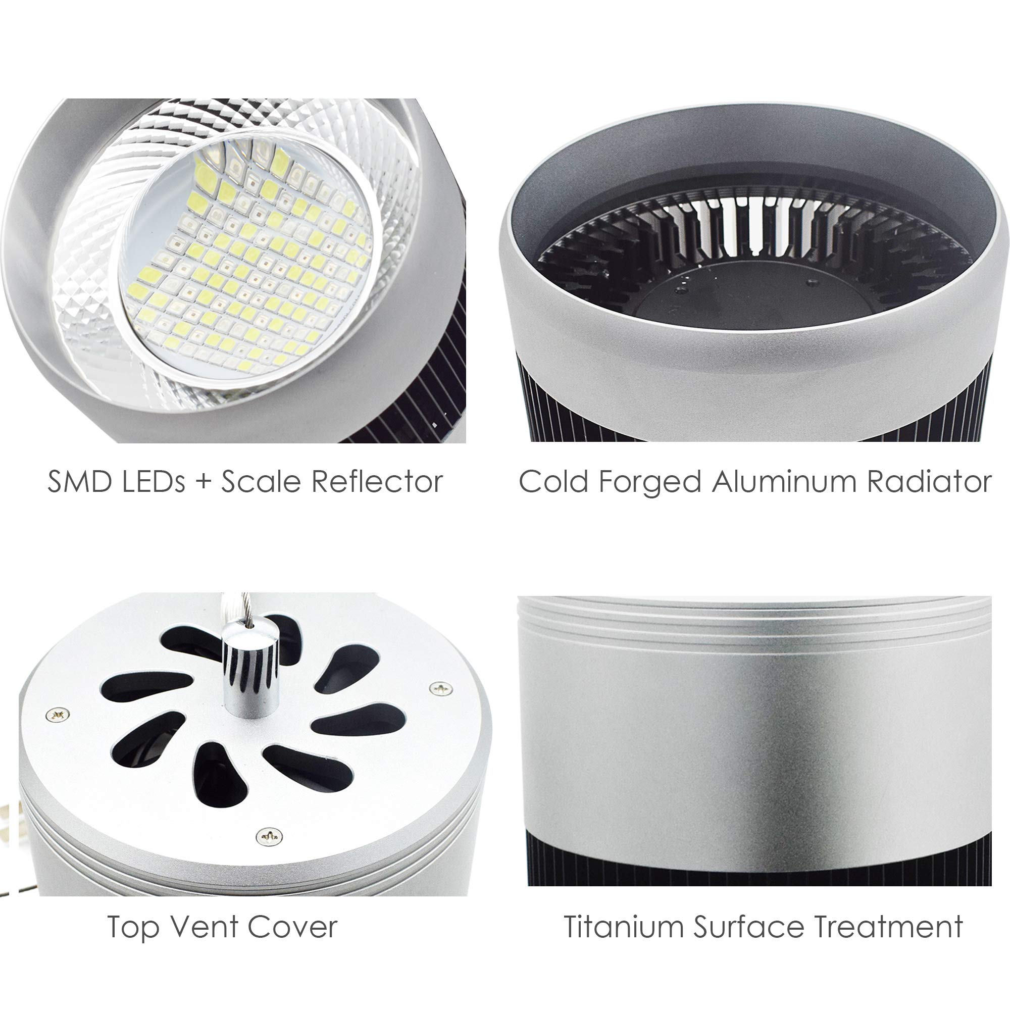 水槽 HIRO テトラ ひろびろワイドアクア 50C | 水中生物用品・水槽用品 通販