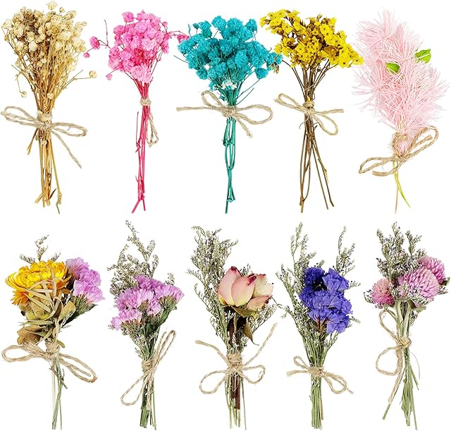 Dreamtop 10Pcs Mini Dried Bouquet Dried Flower Gypsophila Bouquets Mixed Natural Dried Flowers for DIY Craft Card Decoration Home Wedding Decor