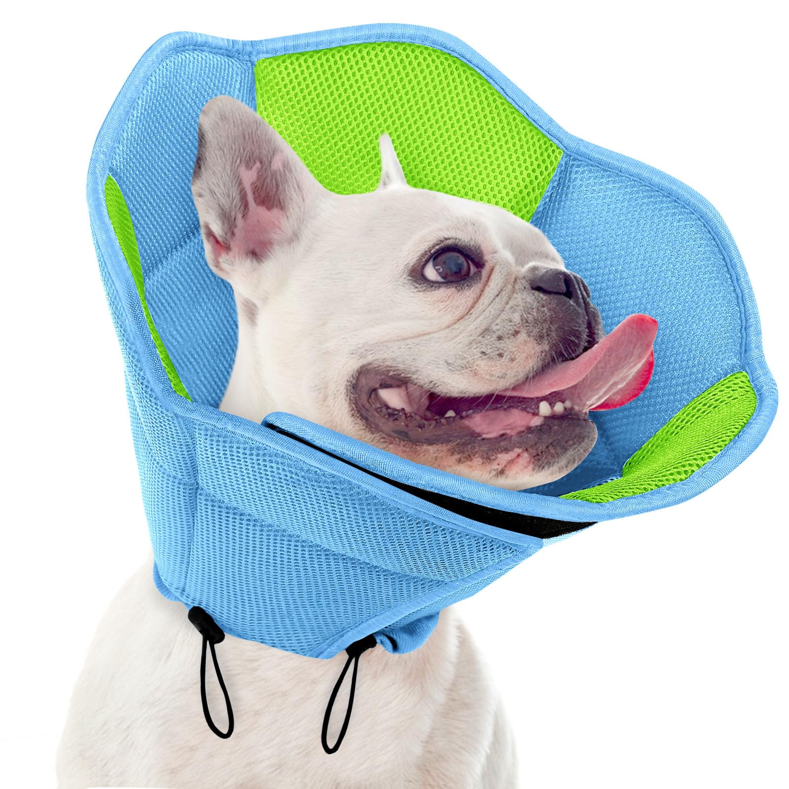 Photo 1 of SUNFURA Soft Dog Cone for Medium Dogs