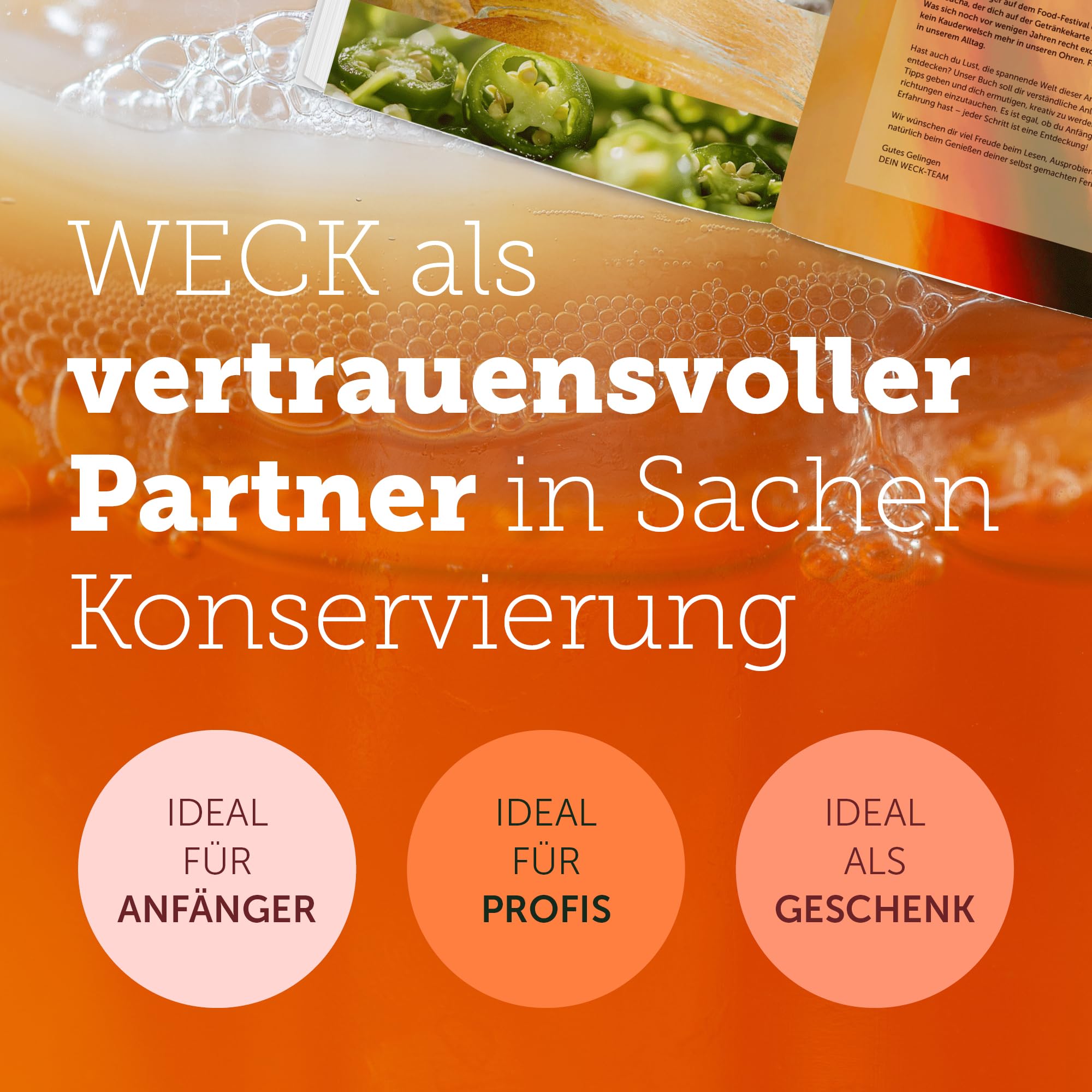 Natürlich Fermentieren: Grundlagen, Anleitungen, Rezeptideen, Gemüse, Kimchi, Kombucha, Kefir, Joghurt, Bier, Essig, Sauerteig