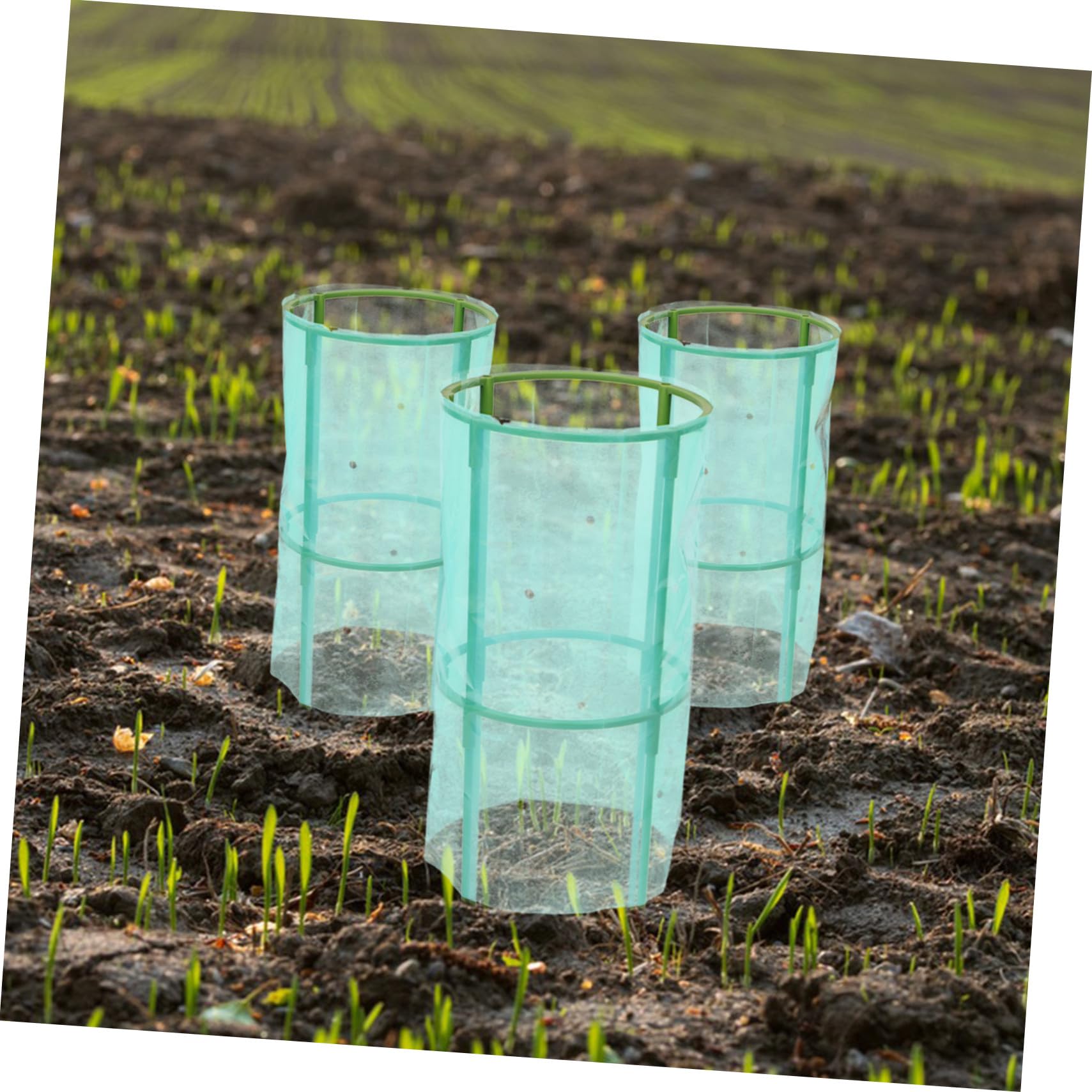 Copripiante da Giardino 2 Pezzi in Plastico Verde per Protezione Invernale | Aiuole Rialzate e Fiori, Copertura Contro Freddo e Gelo, Balconi e Casa