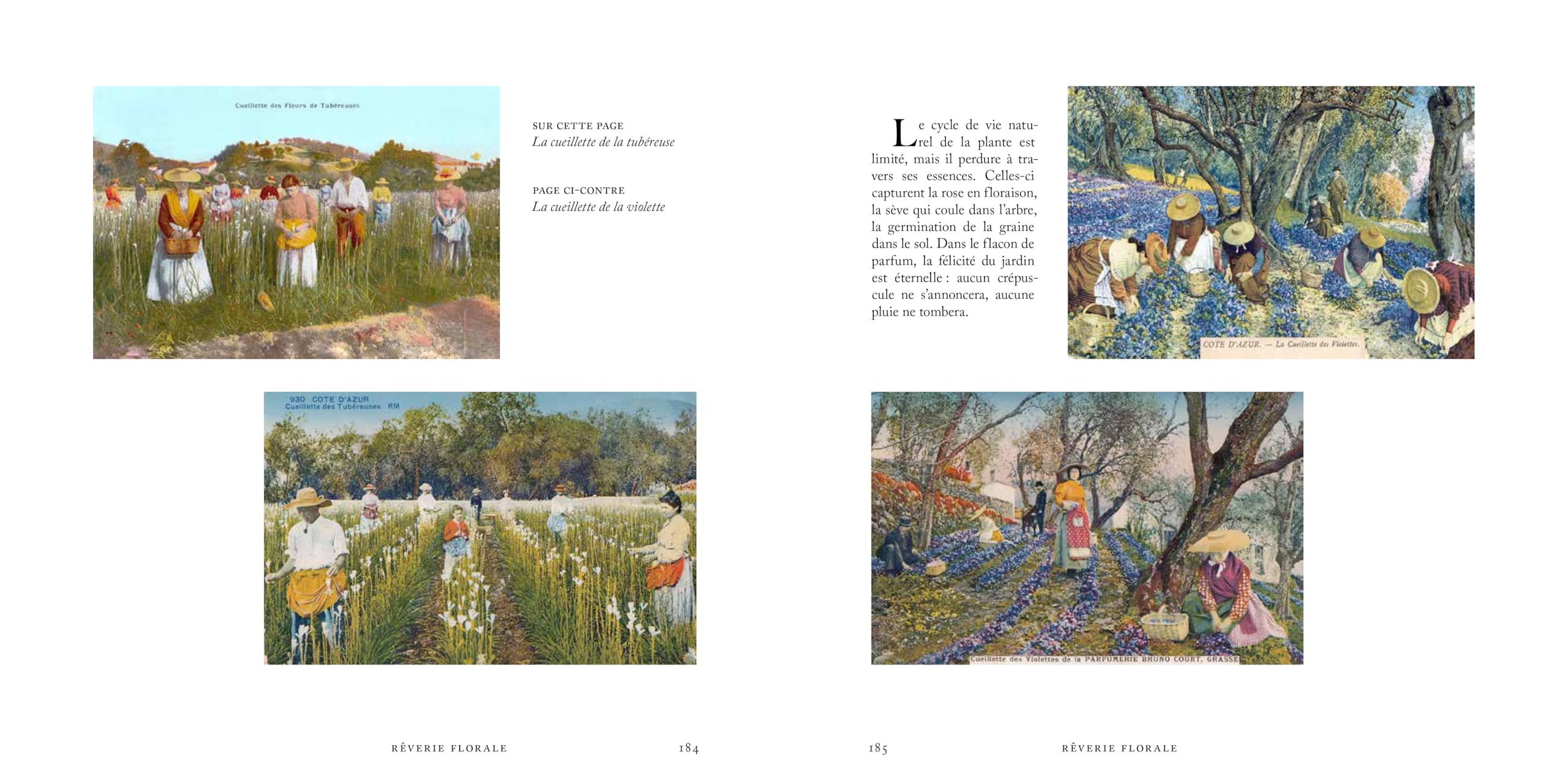 Voyage dans le monde du parfum - Le musée des senteurs