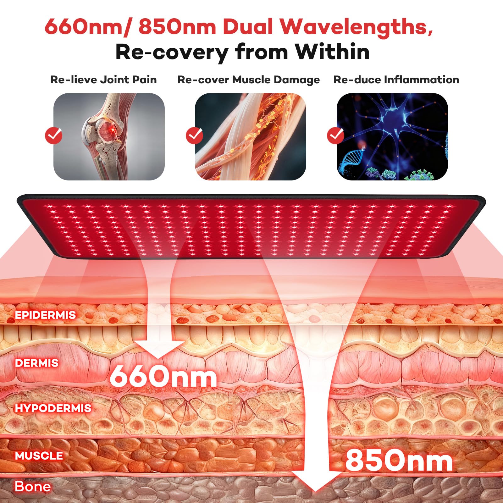 Ezona - Coussin de thérapie par la lumière rouge pour douleurs corporelles, grande thérapie par la lumière infrarouge de 64 x 12 pouces, avec 660/850 nm pour soulager le dos, lumière LED haute
