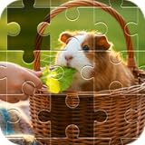 Konigan Games Create 877