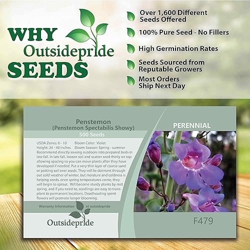 Miniatura 5 de Outsidepride Perenne Penstemon Spectabilis Flores Silvestres Vistosas - 500 Semillas
