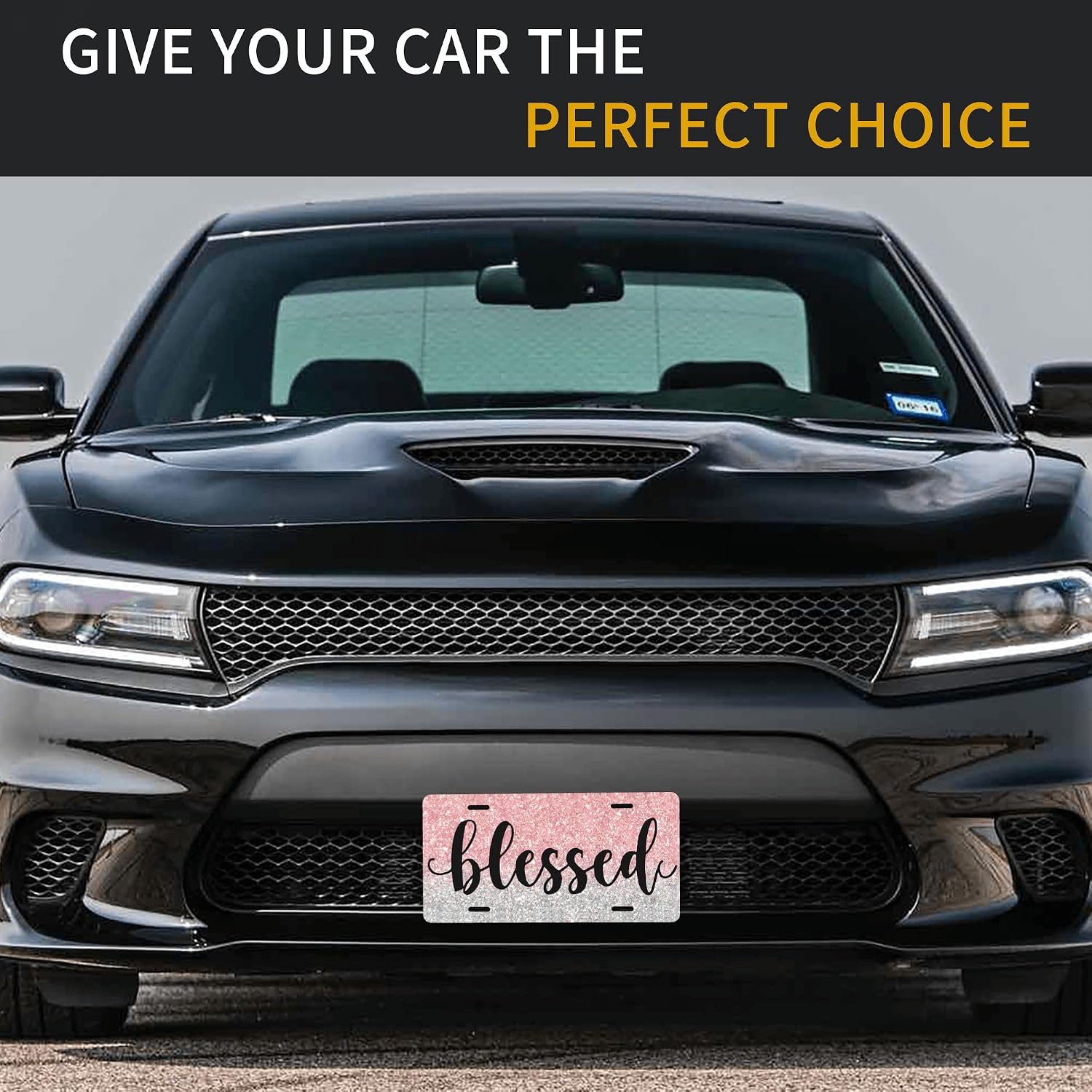 License Plate, Blessed Front License Plate Decorative Rust-Free Fade Resistant Aluminum Metal Car Plate Funny Decor Novelty Vanity Tag Auto Accessories 6×12 Inch,C-8 image 4