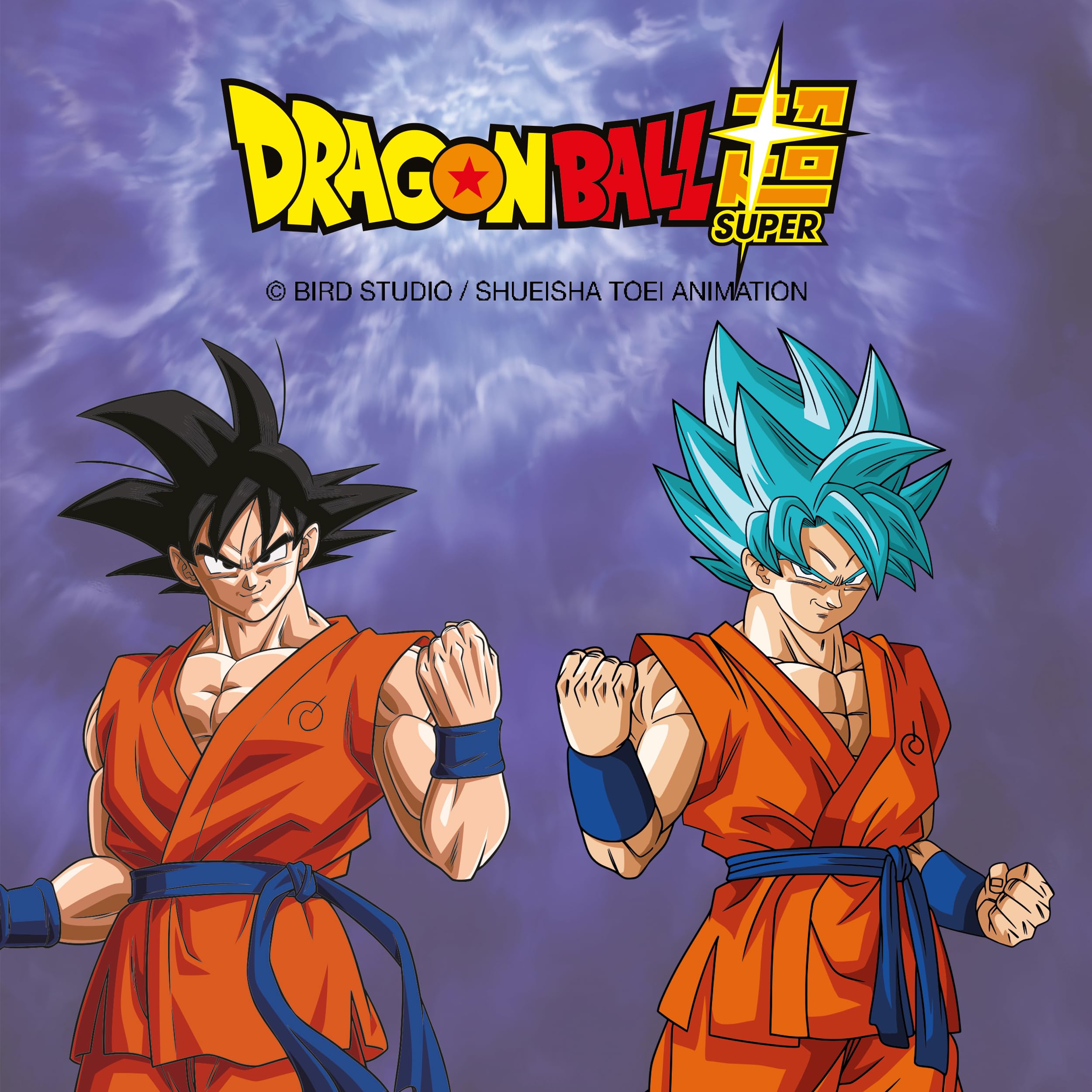 Chaks - Goku Super Saiyajin Gott Perücke für Kinder, Anime | Offizielles Dragon Ball Zubehör, Blaue Perücke im Super Saiyajin Gott Design, Anime Kostüm Accessoire