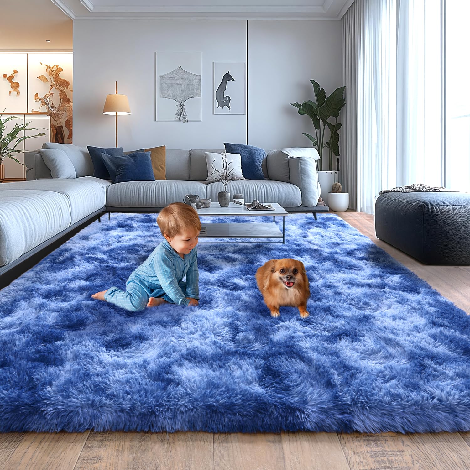 Isdook Shaggy Area Rugs for Living Room, Soft Shaggy Carpets for Living Room, Upgrade Anti-Skid Fuzzy Rugs for Kids' Room, Perfect Decor for Modern