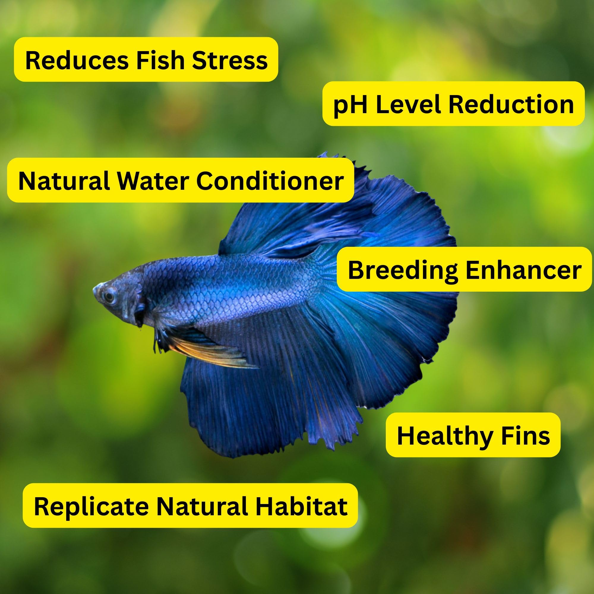 80 hojas secas de almendra india Catappa para tanque de peces Betta de 4 pulgadas, acondicionador de agua para acuario, camarones, peces dorados, guppy, ranas, tetras y caracoles