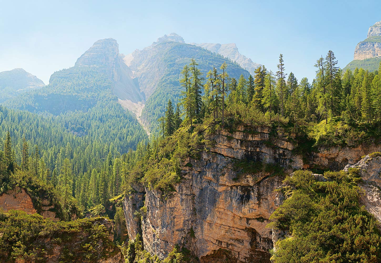 Idealdecor Digital 5354-4V-1 Mural, 368 x 254 cm