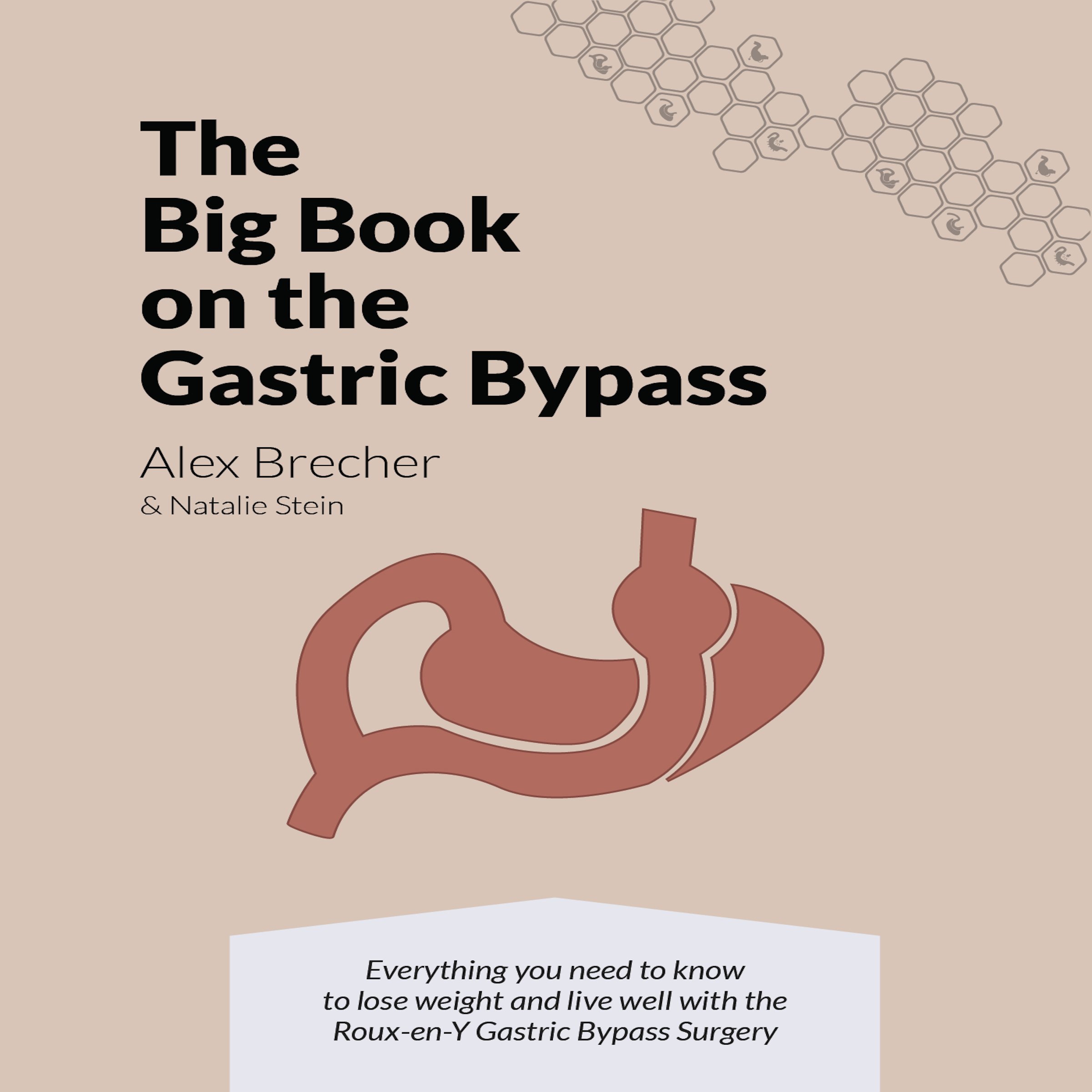 Cover art for The Big Book on the Gastric Bypass