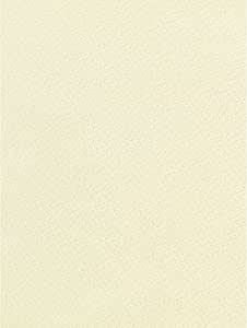 Ivory Matt Textured Hammered A4 Card 270gsm x 10 Sheets (A4C11 ...