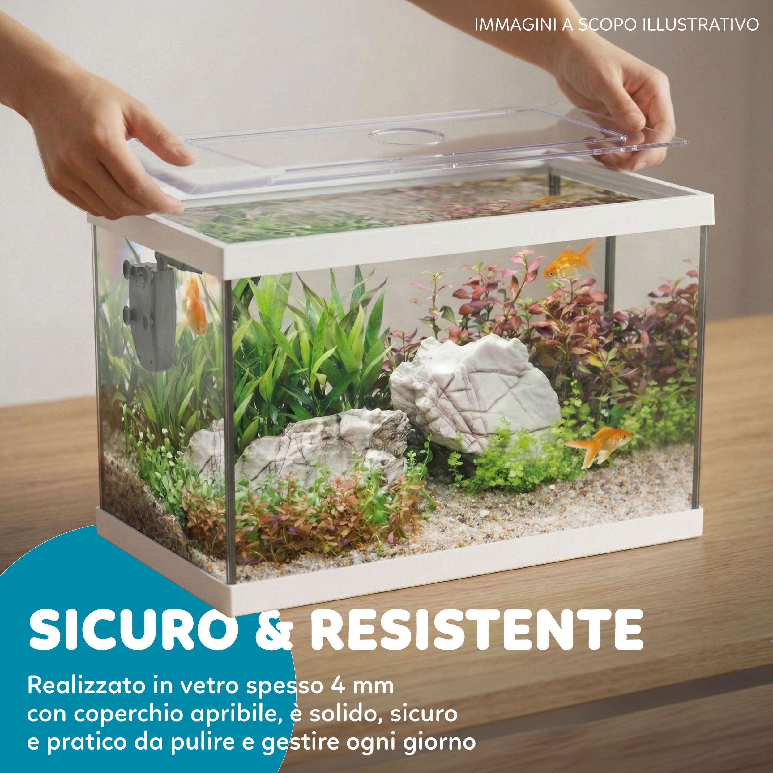 AQPET One Mini Acquario in vetro Bianco 20 litri – acquario completo con filtro interno, sabbia, pianta decorativa e sfondo – design elegante 36x22x26 cm, ideale per principianti
