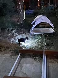 TEMPO DI SALDI Kit Ouvrir Boîtier Professionnel Clé Universelle 18