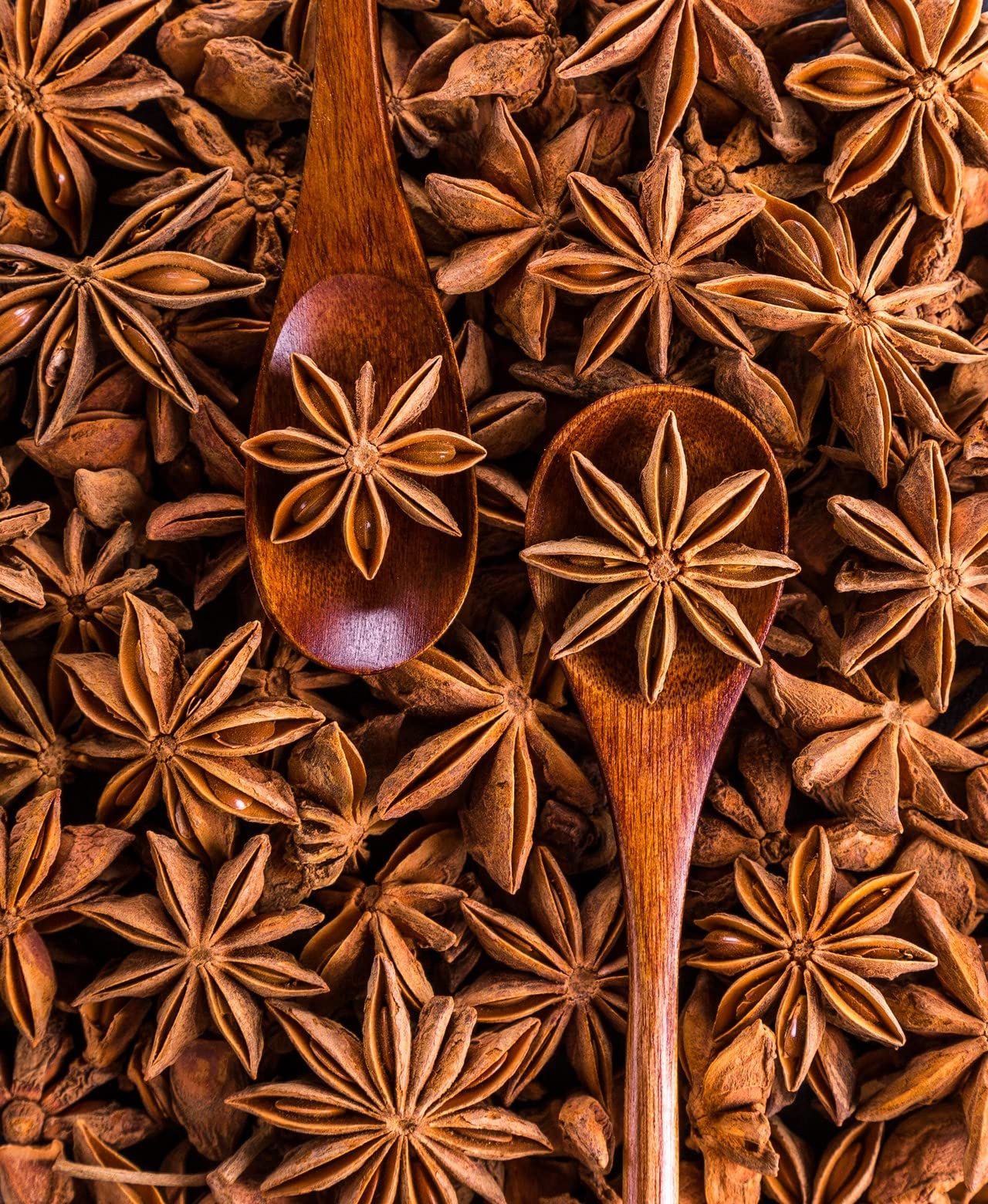 500g di anice stellato intero BIO - anice stellato biologico fine, piccante e di alta qualità, senza additivi - in confezione biodegradabile
