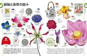 セール！ 洋書『ベネズエラの山岳植物、アンデスとテプイ、ブロメリア』植物図鑑 セール！ 洋書『ベネズエラの山岳植物、アンデスとテプイ