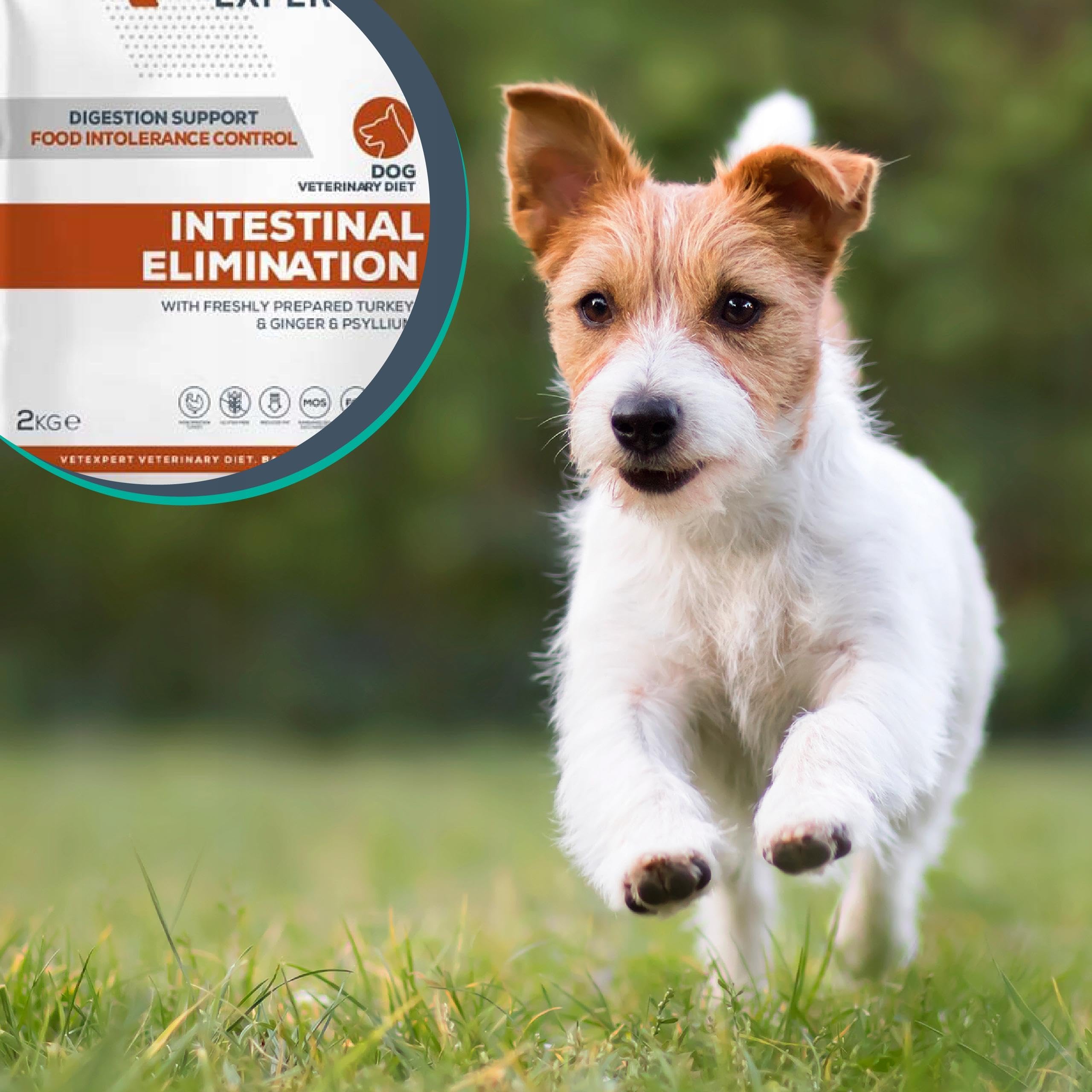 VET EXPERT INTESTINAL ELIMINATION DOG 12 kg - sucha karma weterynaryjna dla psów z zaburzeniami trawienia i wchłaniania oraz dieta eliminacyjna