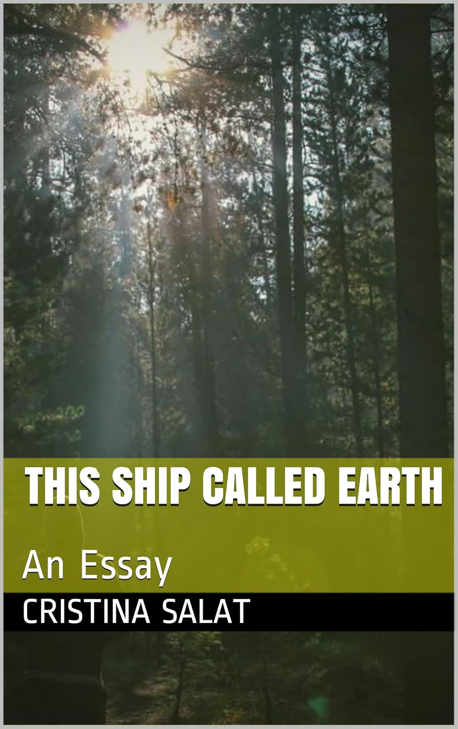Amazon This Ship Called Earth A Life's Defining Moment Slim (Trade