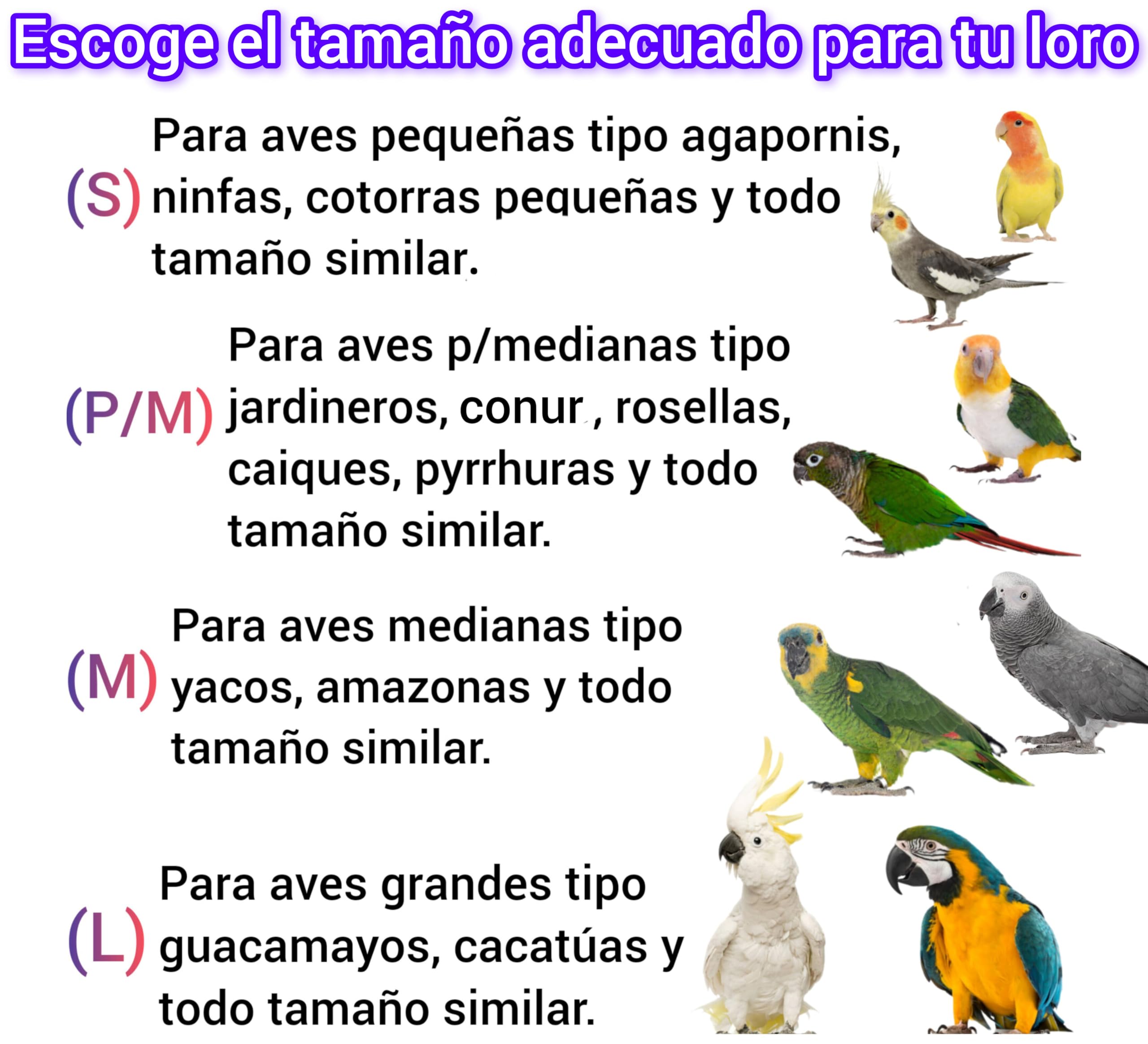 Juguete antiestrés para loros, brocheta lima picos de pájaros agaporni, ninfa, caique, accesorio de jaula y voladera aves guacamayo, yaco, CALIDAD PREMIUM. (M, Pack 2 und jaula, Natural sin color)
